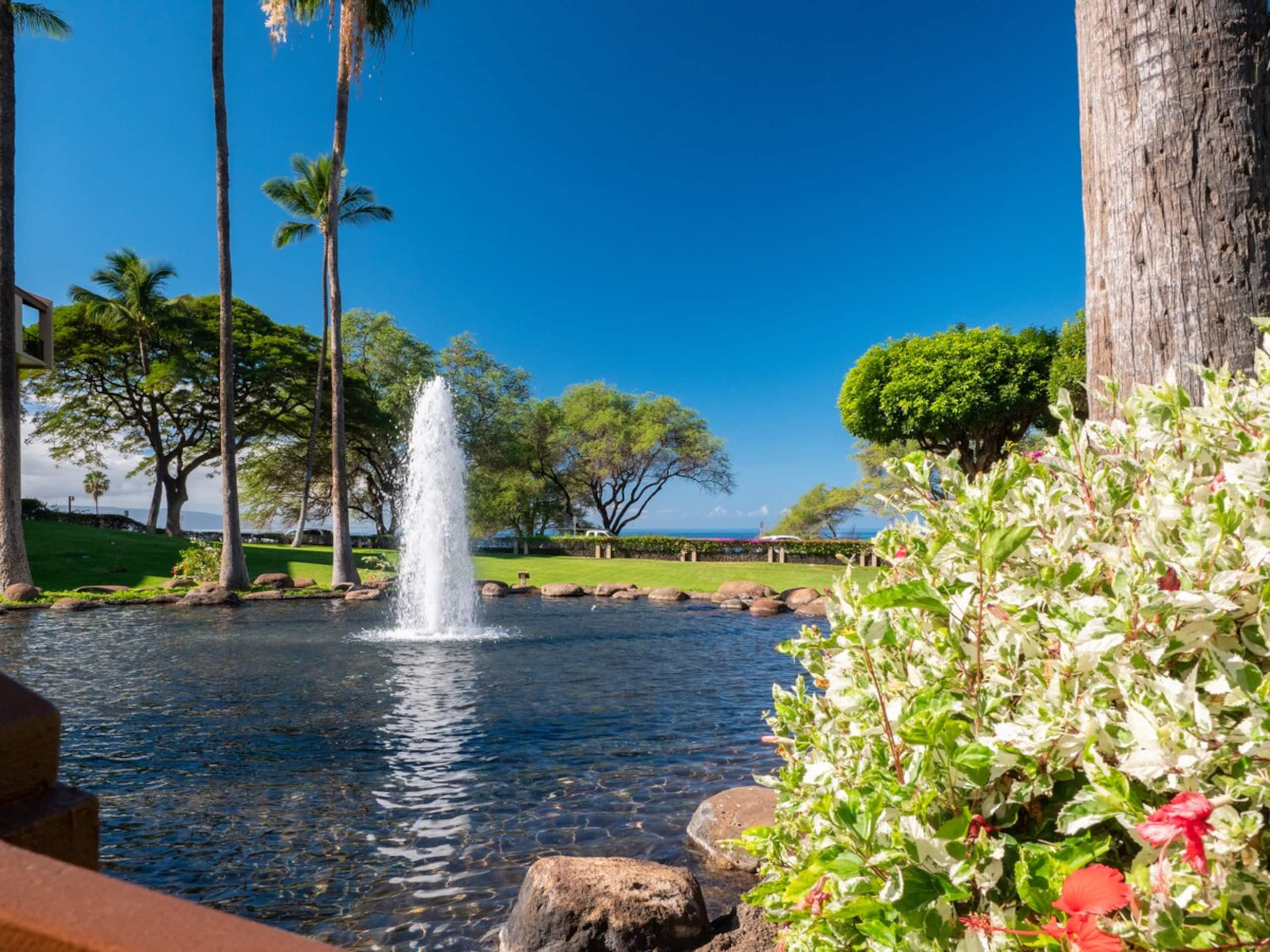 Kihei Beach Retreat: Ocean Views and Sandy Feet! - Photo 28