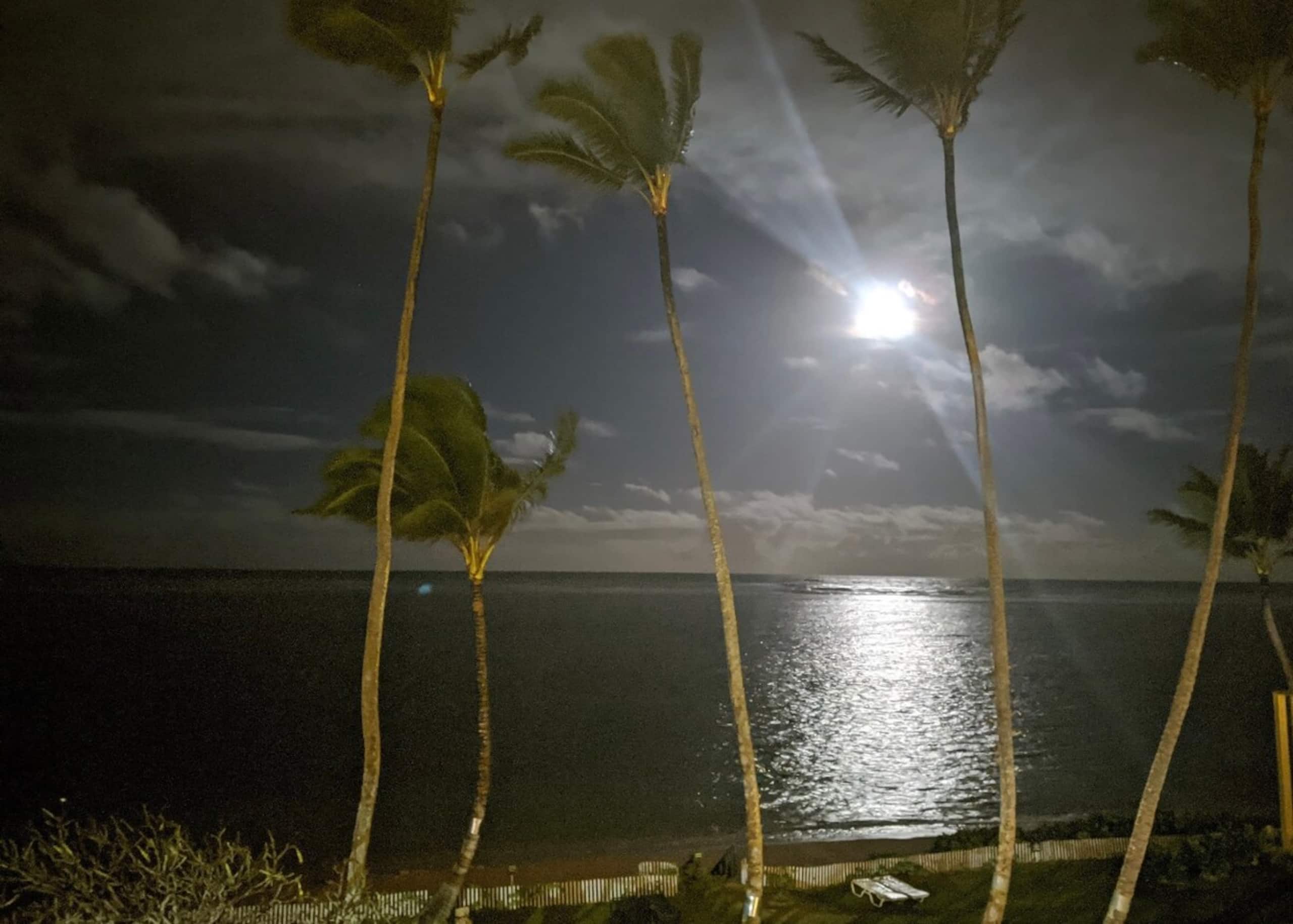 Second Wind,  Ocean front, Sunrise View! - Photo 23