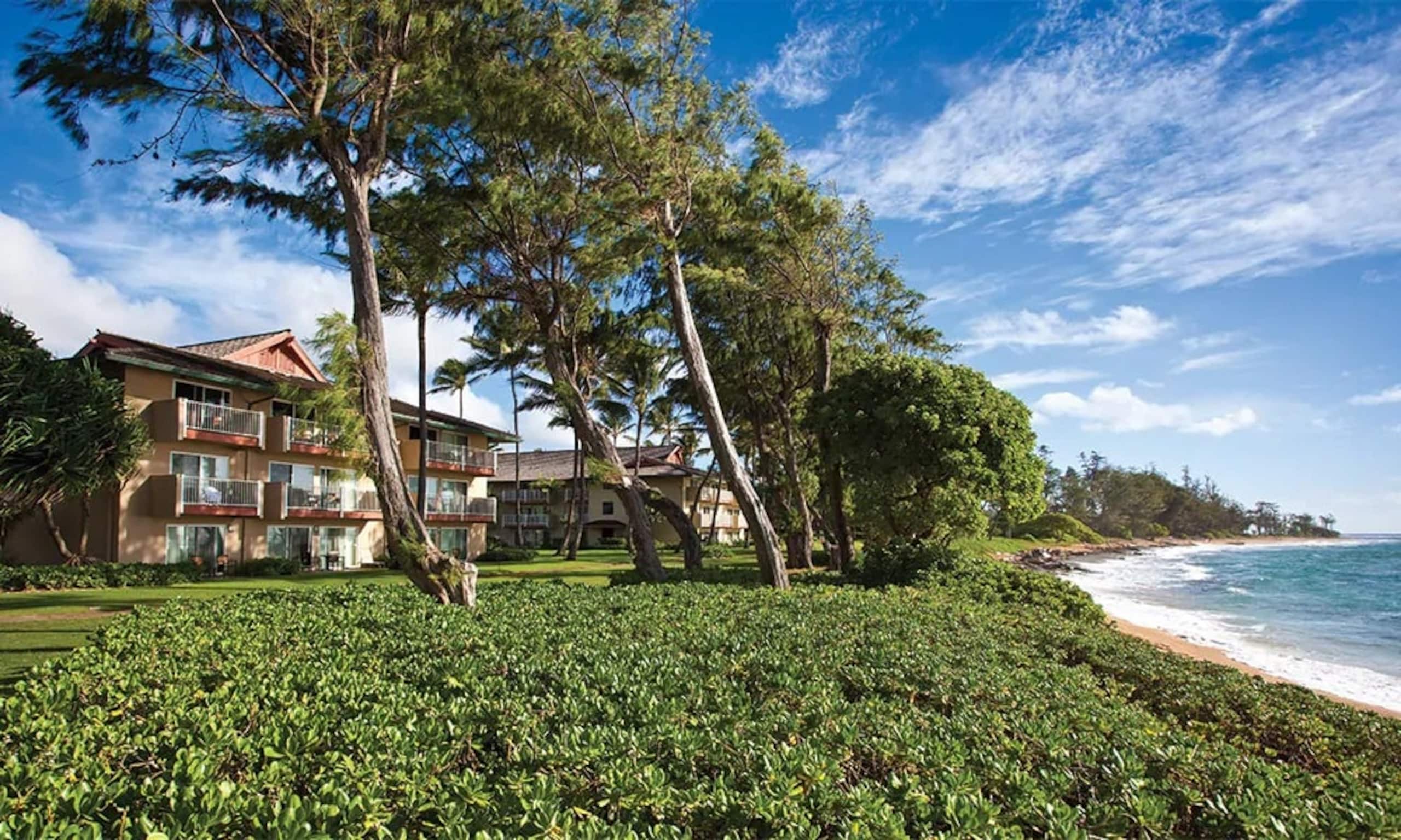 Kauai Coast Beachboy 1BR - Photo 4