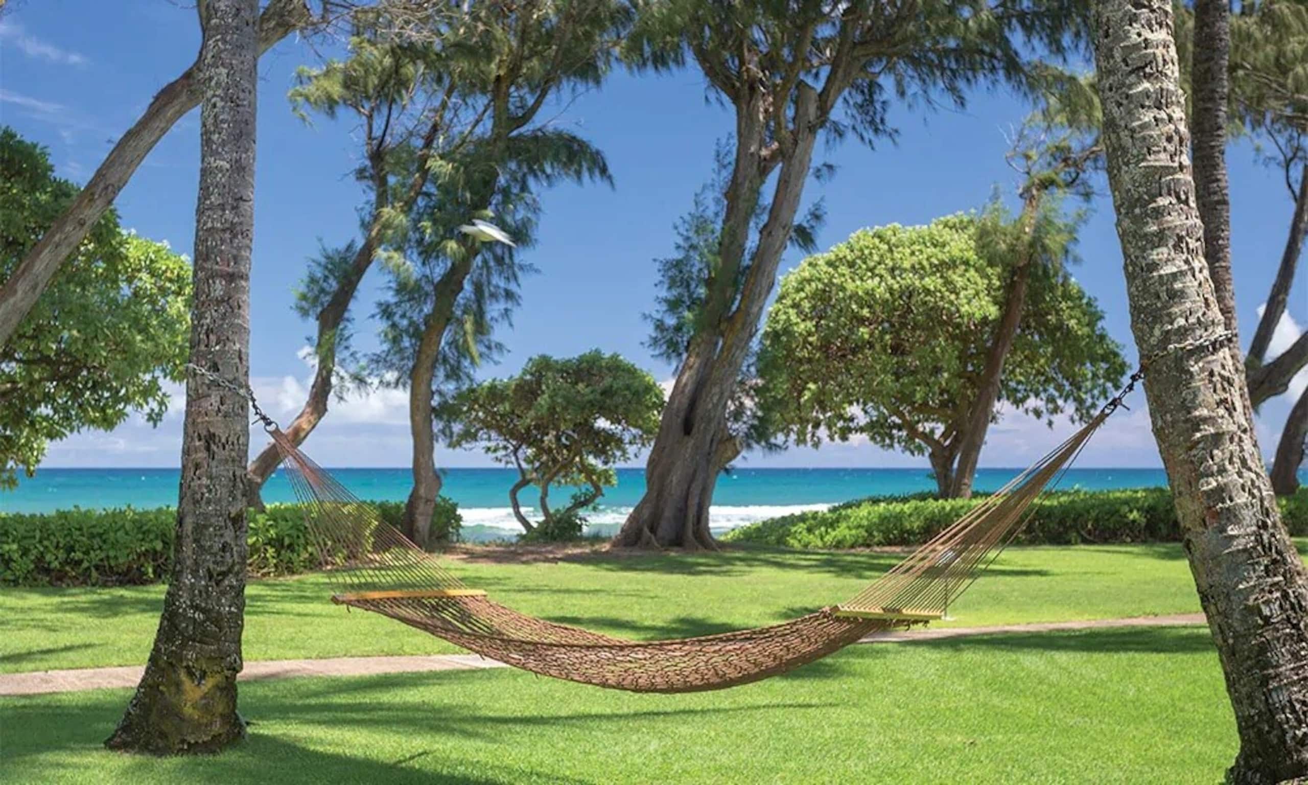 Kauai Coast Beachboy 1BR - Photo 21