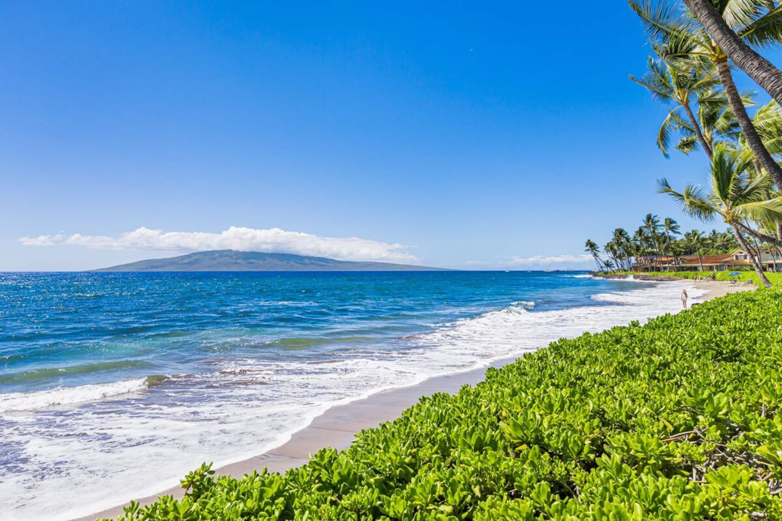 150-4 Ocean Front Condo with an Amazing View - Photo 34