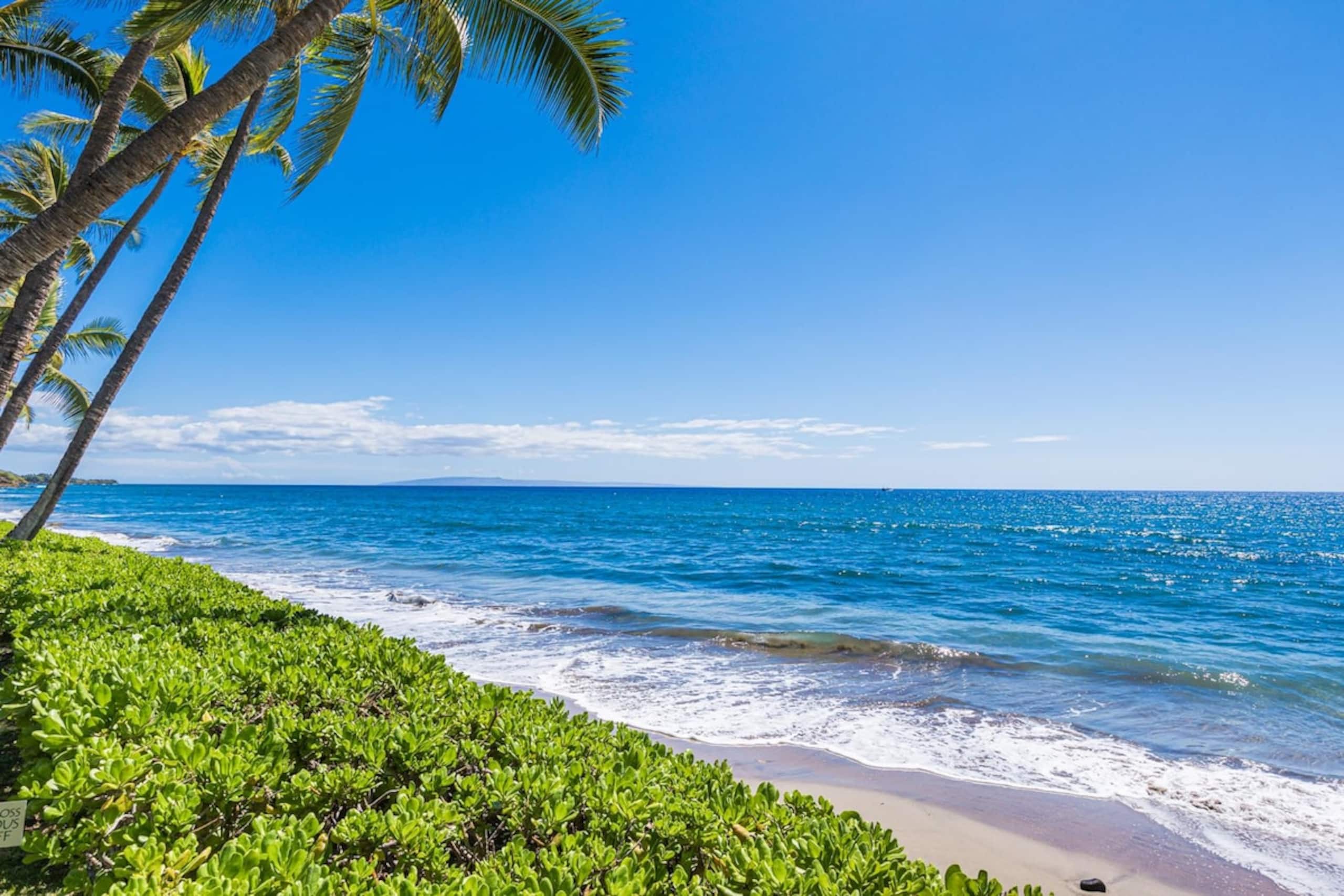 150-4 Ocean Front Condo with an Amazing View - Photo 35