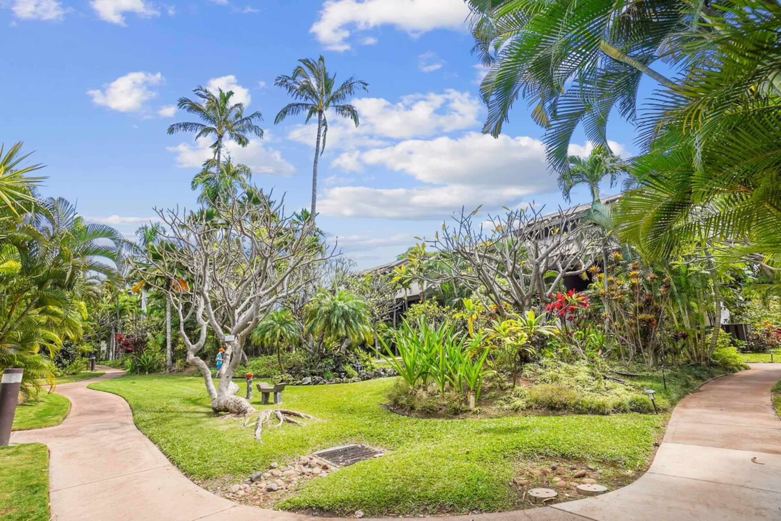 Low rates-tropical resort. A/C free parking KR120 - Photo 25