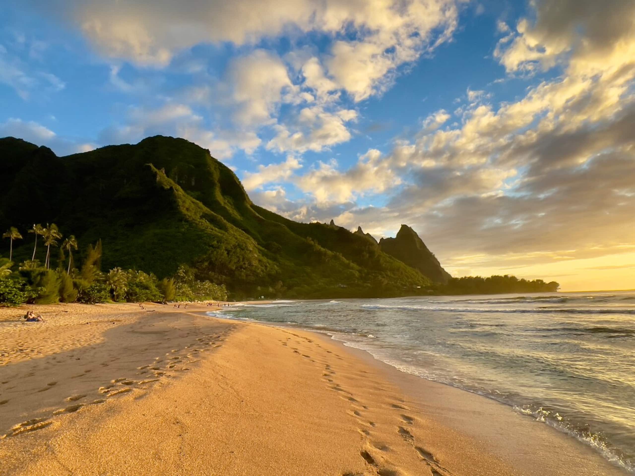Kauai Oasis | NEW Design • Luxe, AC, Pool, Beaches - Photo 46