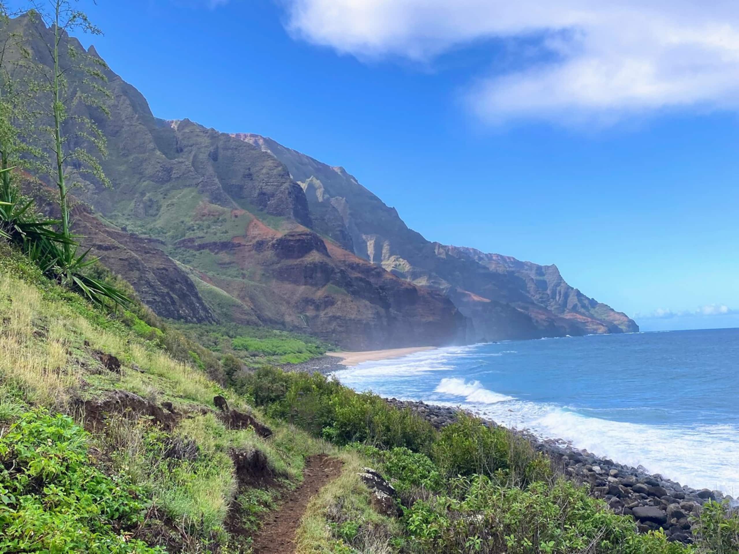 Kauai Oasis | NEW Design • Luxe, AC, Pool, Beaches - Photo 53