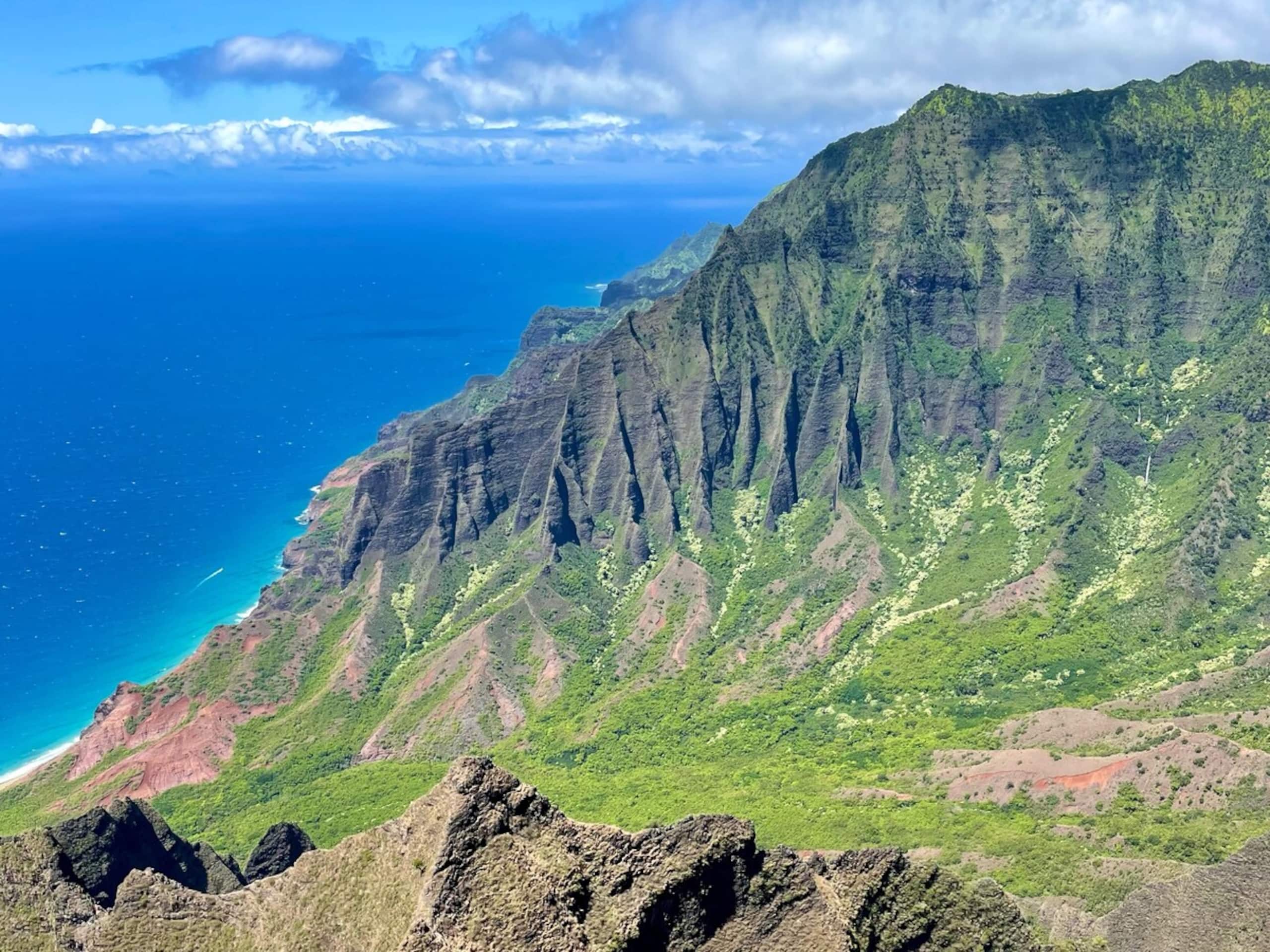 Kauai Oasis | NEW Design • Luxe, AC, Pool, Beaches - Photo 47