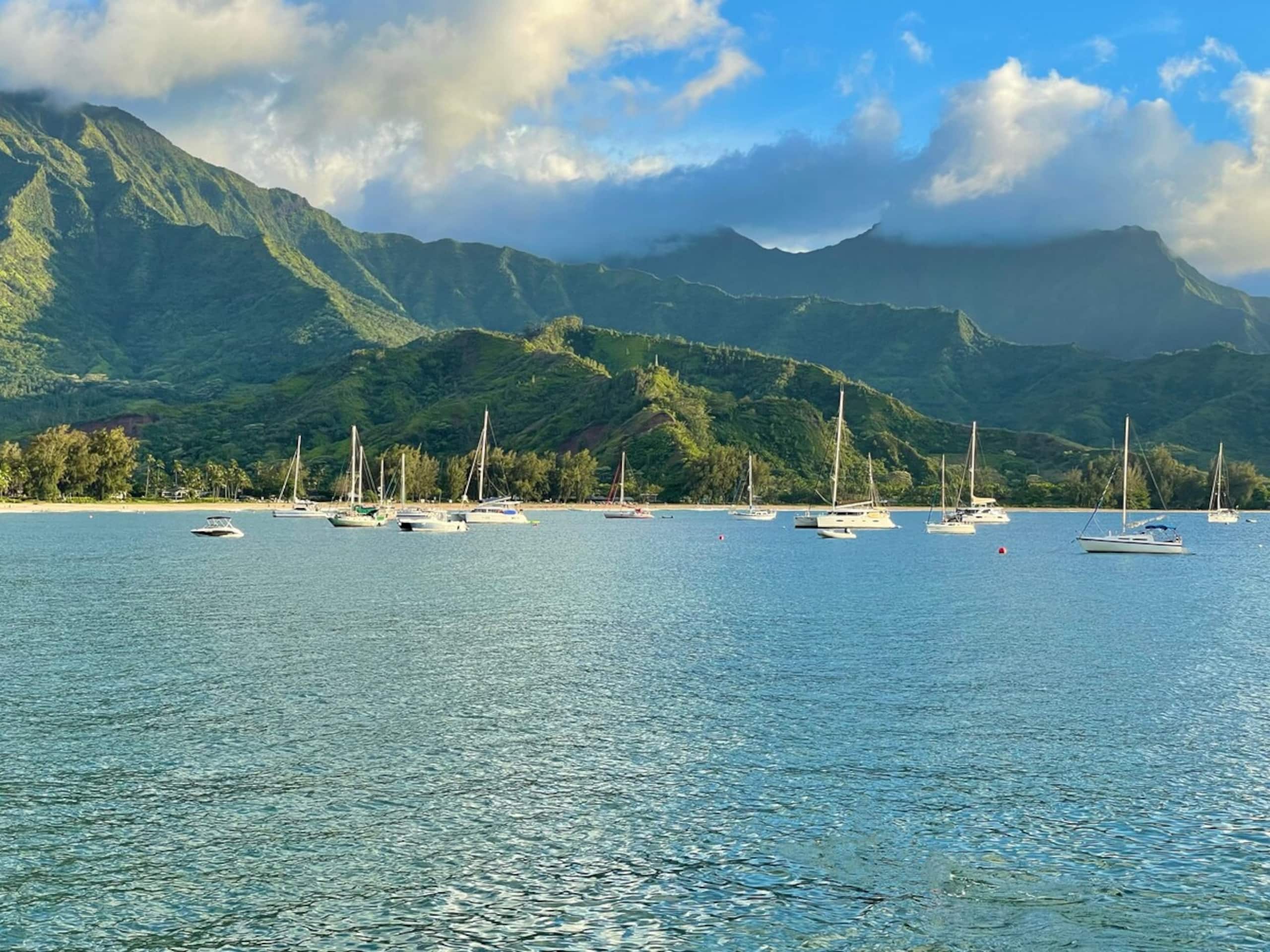 Kauai Oasis | NEW Design • Luxe, AC, Pool, Beaches - Photo 43