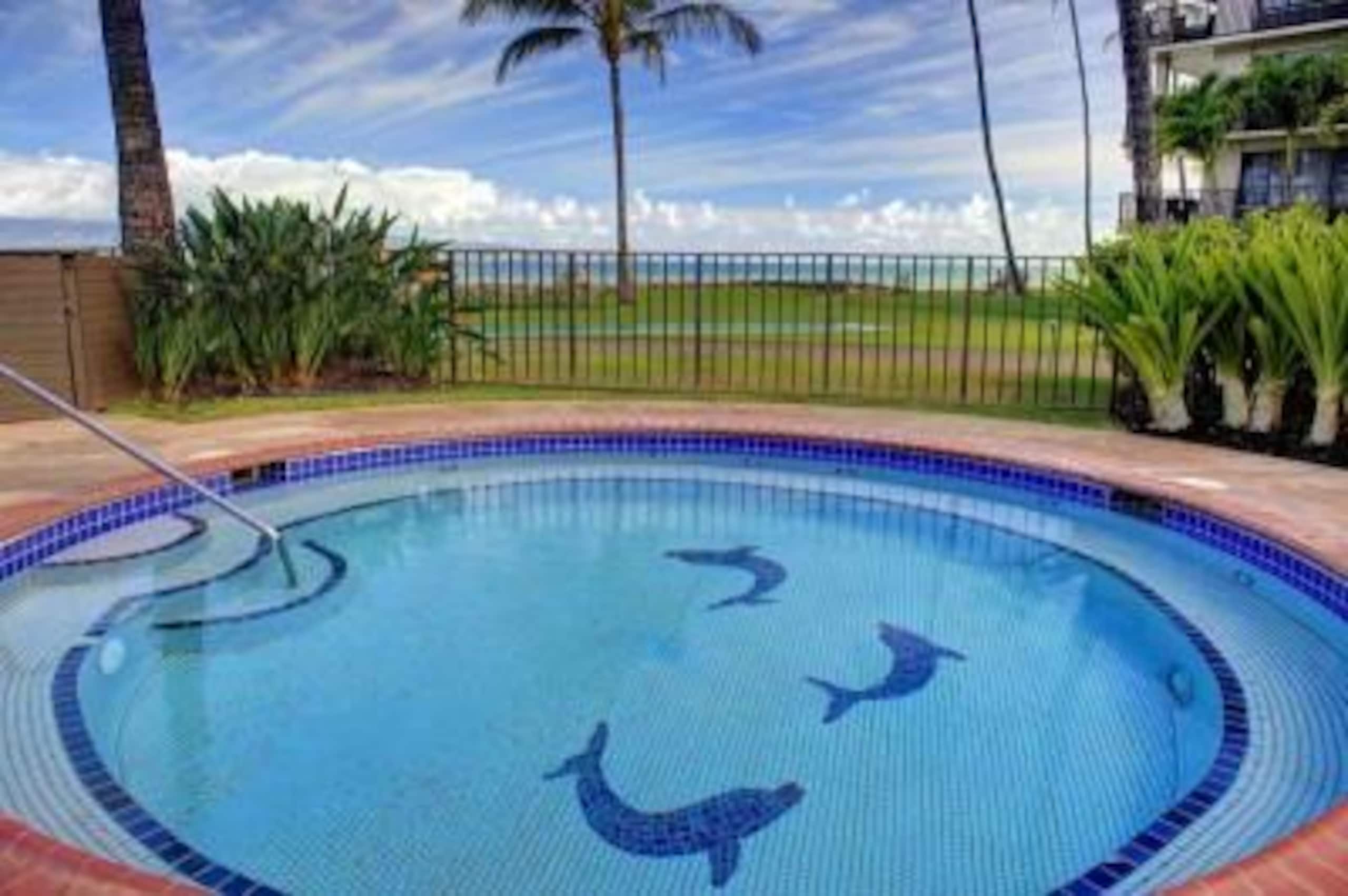 Ocean, Pools, Hot Tub, Sunsets low rates - Photo 6
