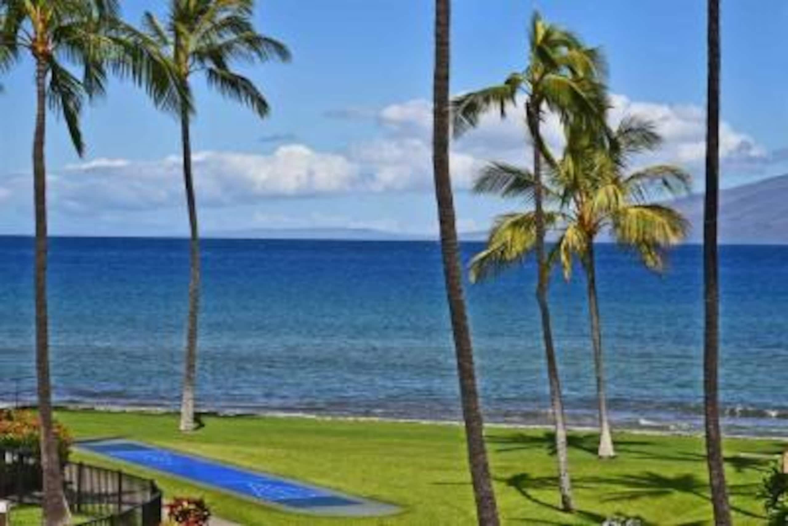 Ocean, Pools, Hot Tub, Sunsets low rates - Photo 21