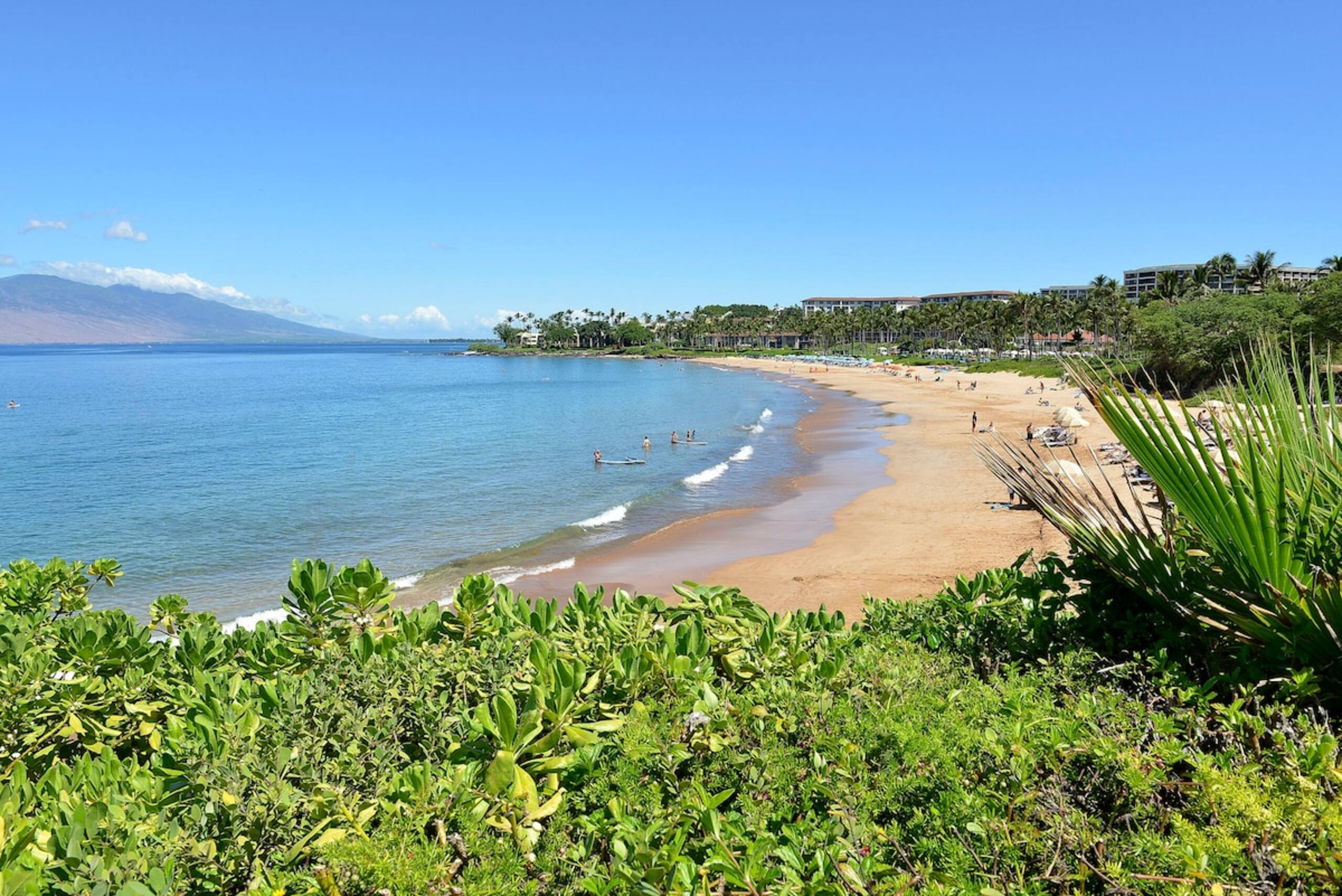 Wailea Serenity - 2BD - Private, Quiet the tropic - Main photo