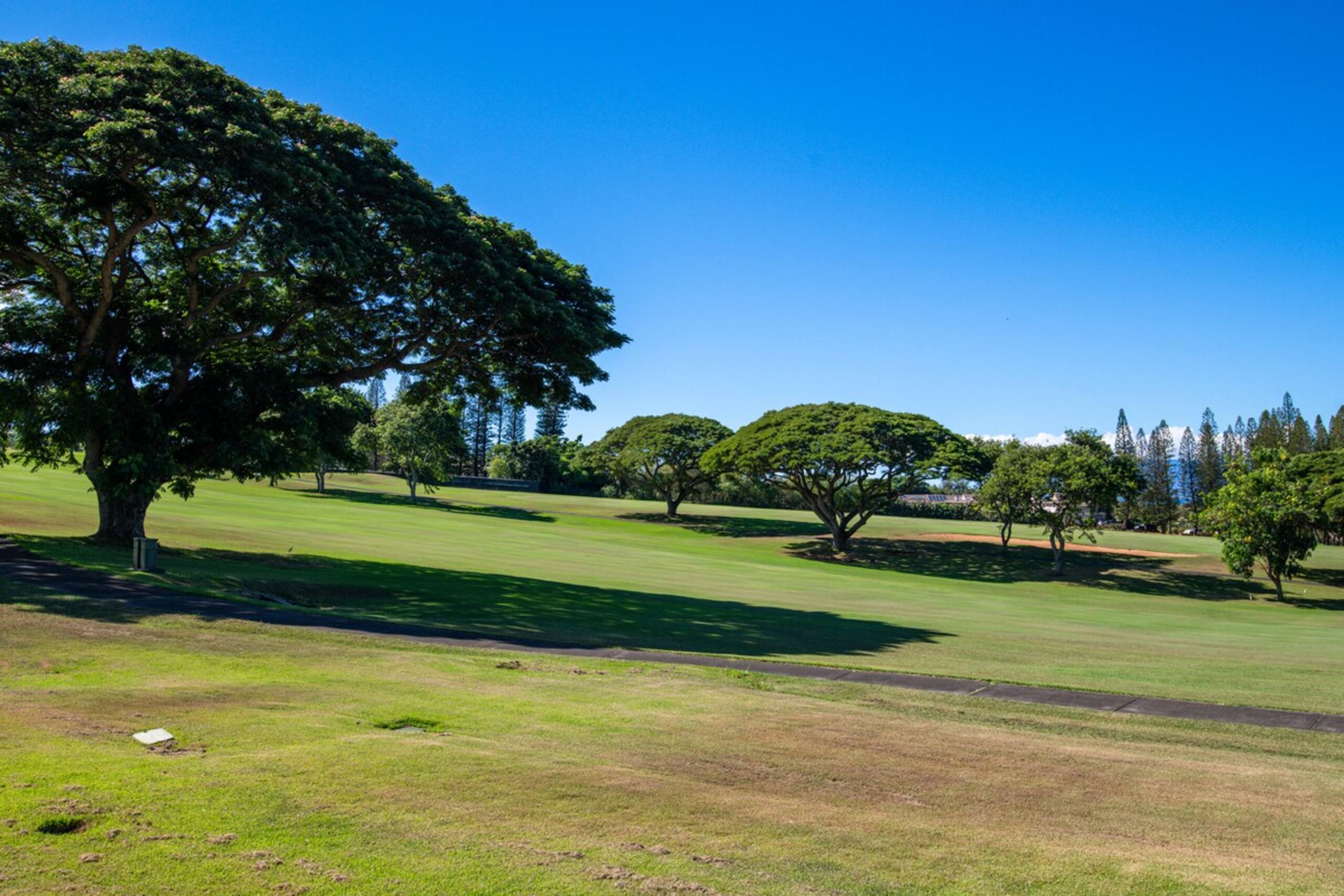 Kapalua Golf Villas 15P3-4 Garden View Condo - Photo 37