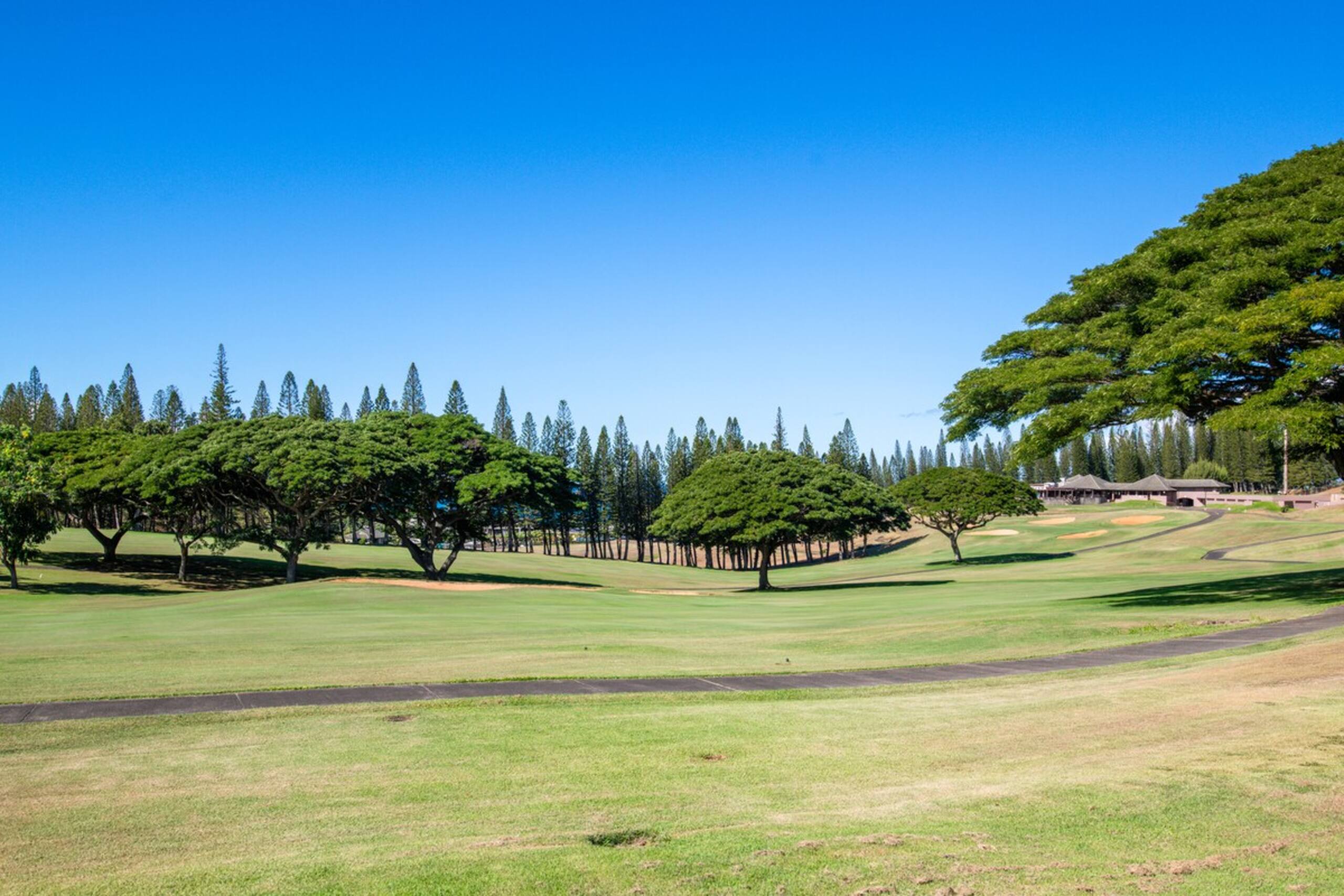 Kapalua Golf Villas 15P3-4 Garden View Condo - Photo 36