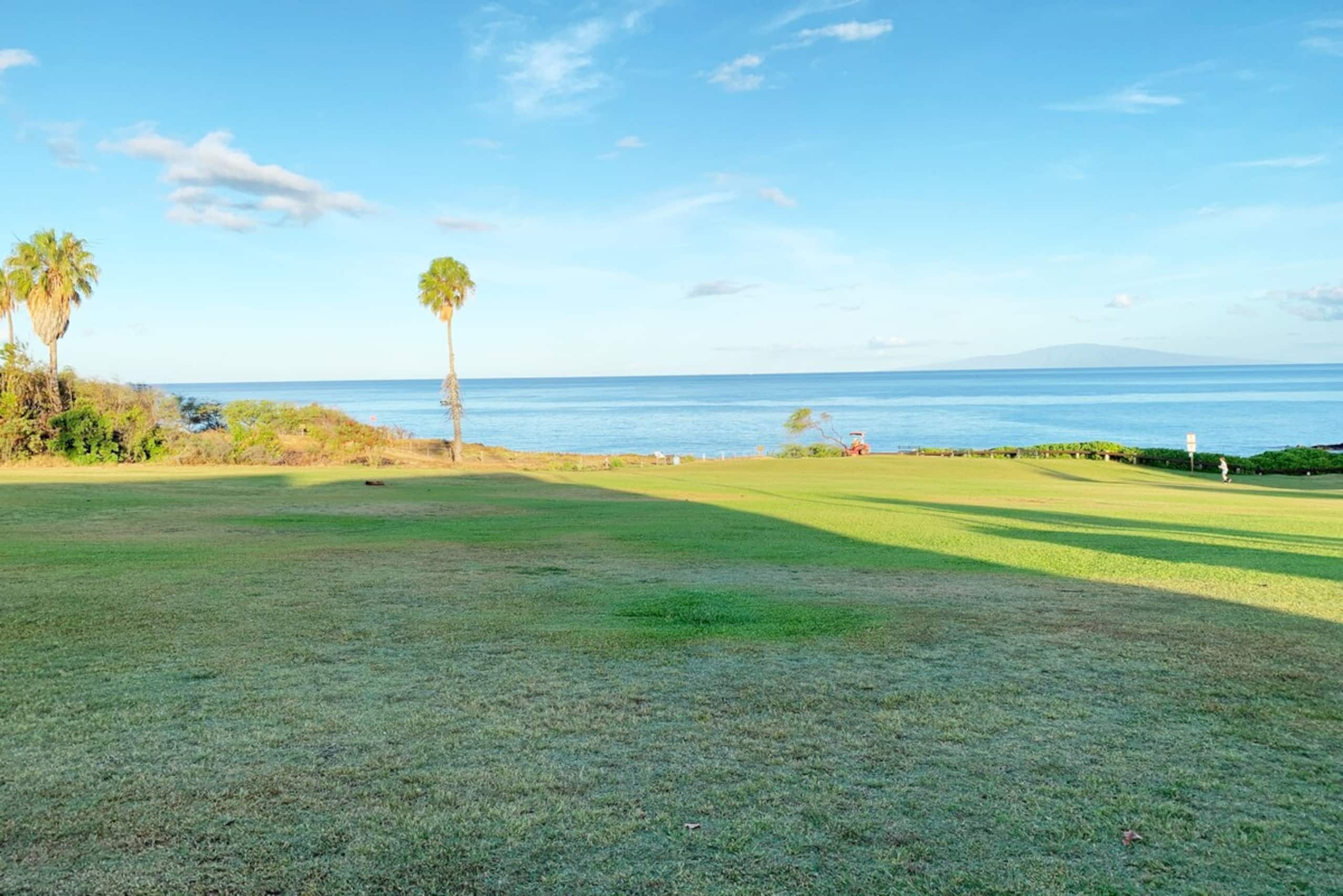 Large 2 Bedroom 2 Bath Ground Unit Maui Parkshore - Photo 24