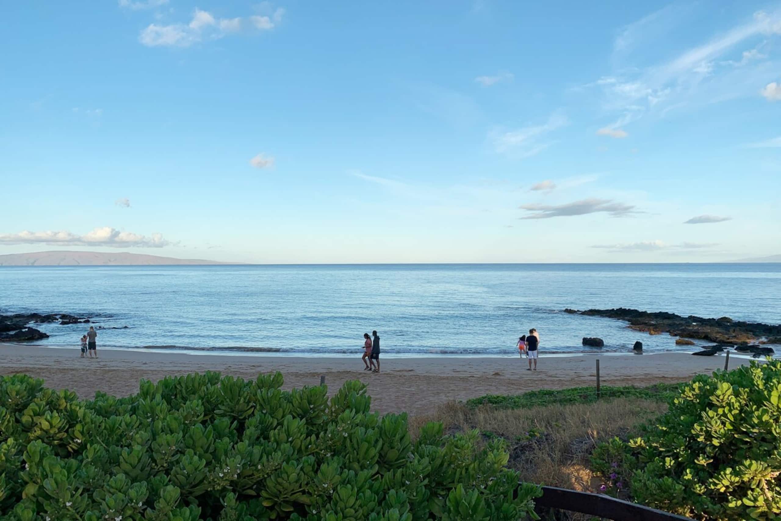 Large 2 Bedroom 2 Bath Ground Unit Maui Parkshore - Photo 22