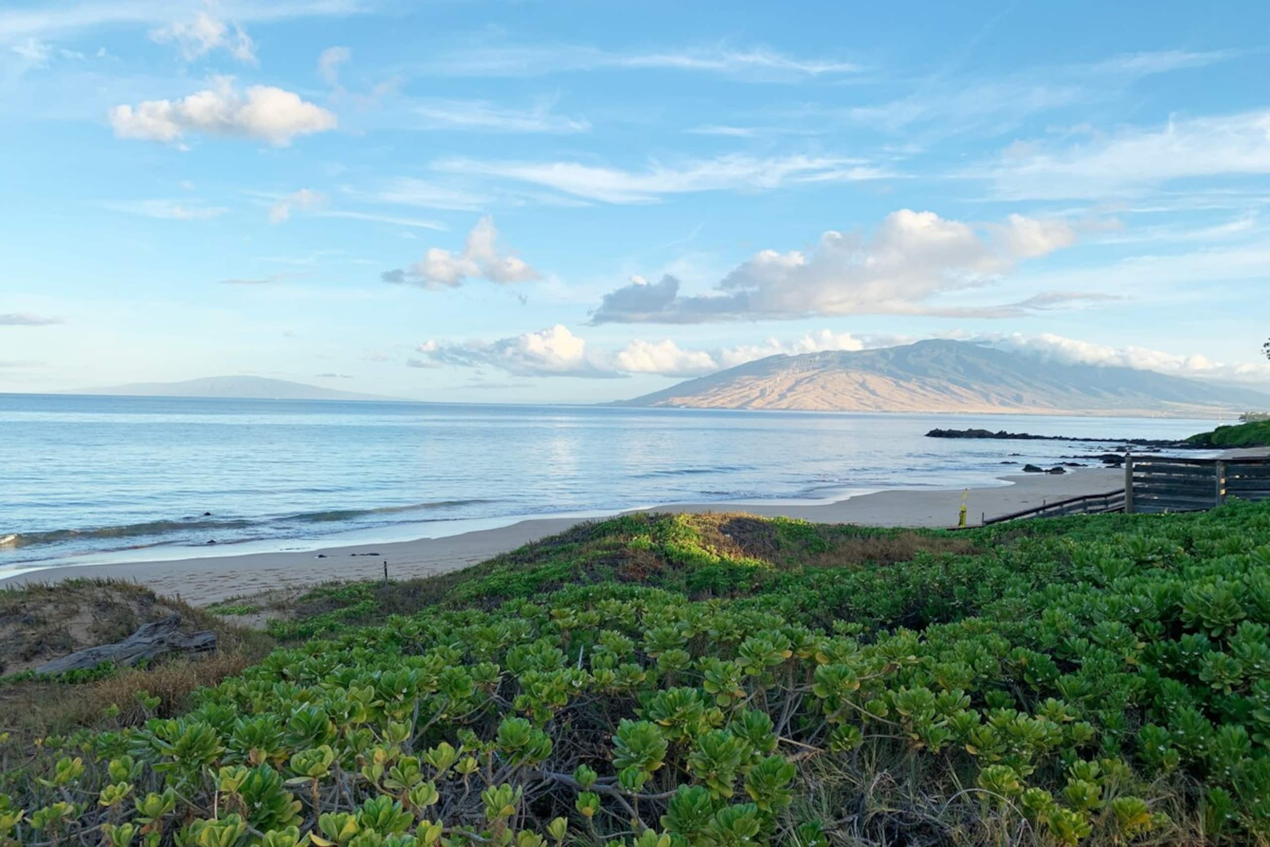 Large 2 Bedroom 2 Bath Ground Unit Maui Parkshore - Main photo
