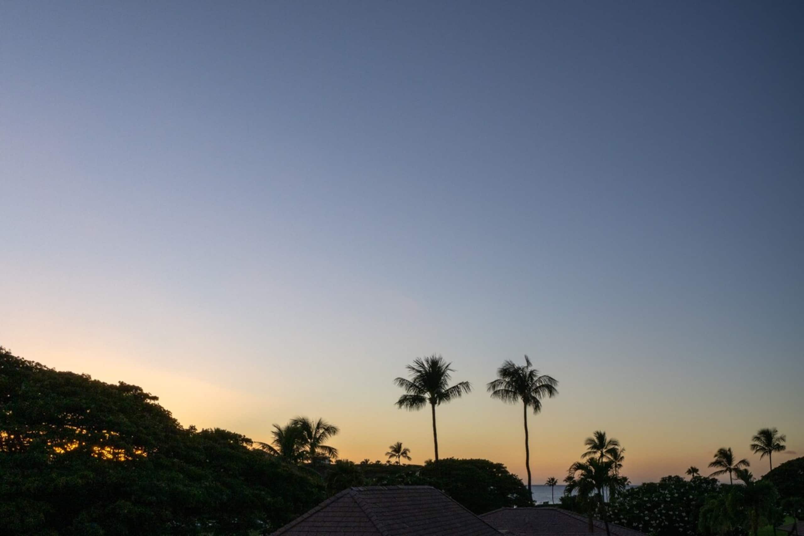 Walk to Kaanapali Beach Fully Remodeled 1BR, Pool - Photo 58