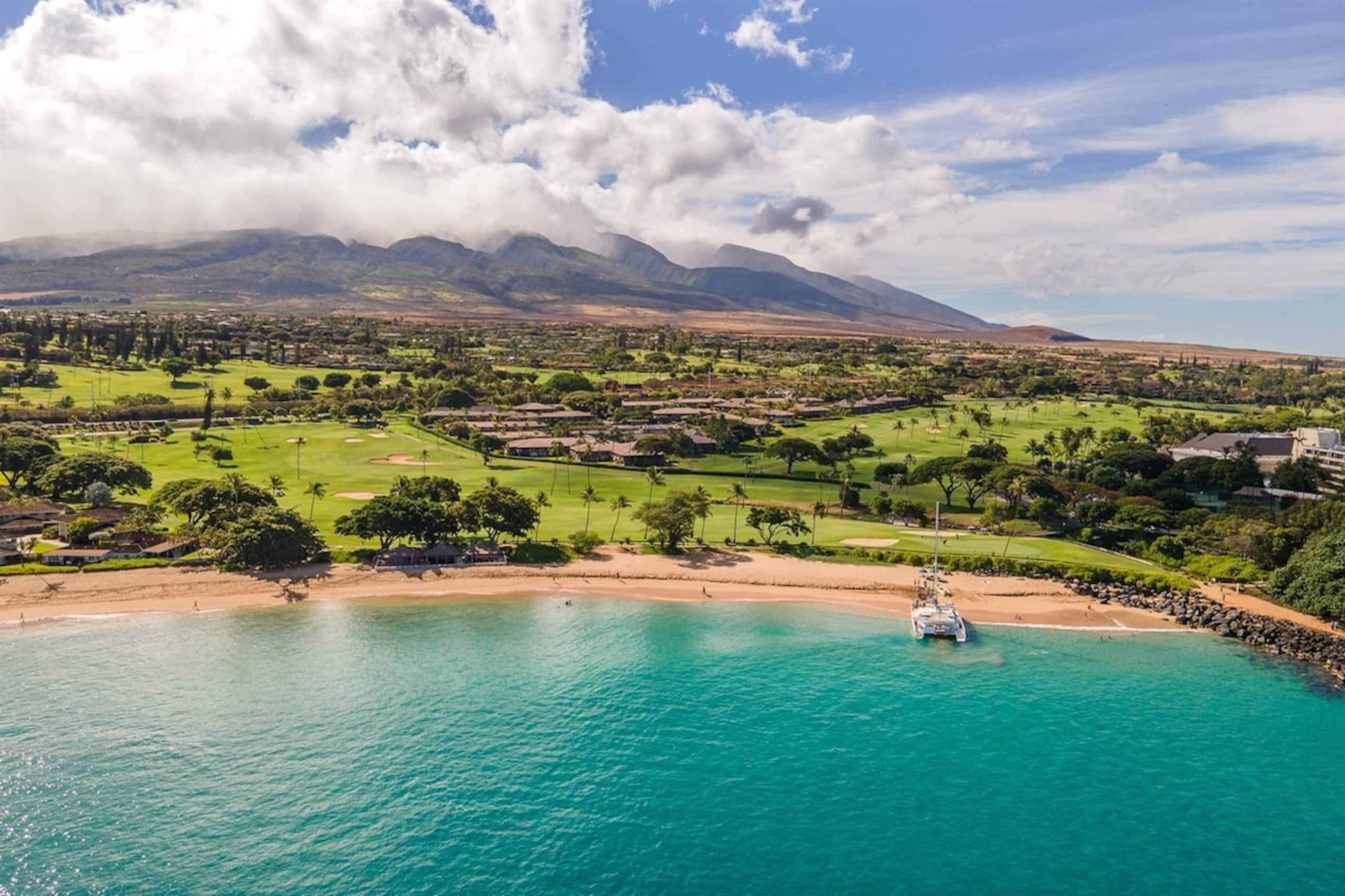 Walk to Kaanapali Beach Fully Remodeled 1BR, Pool - Photo 43