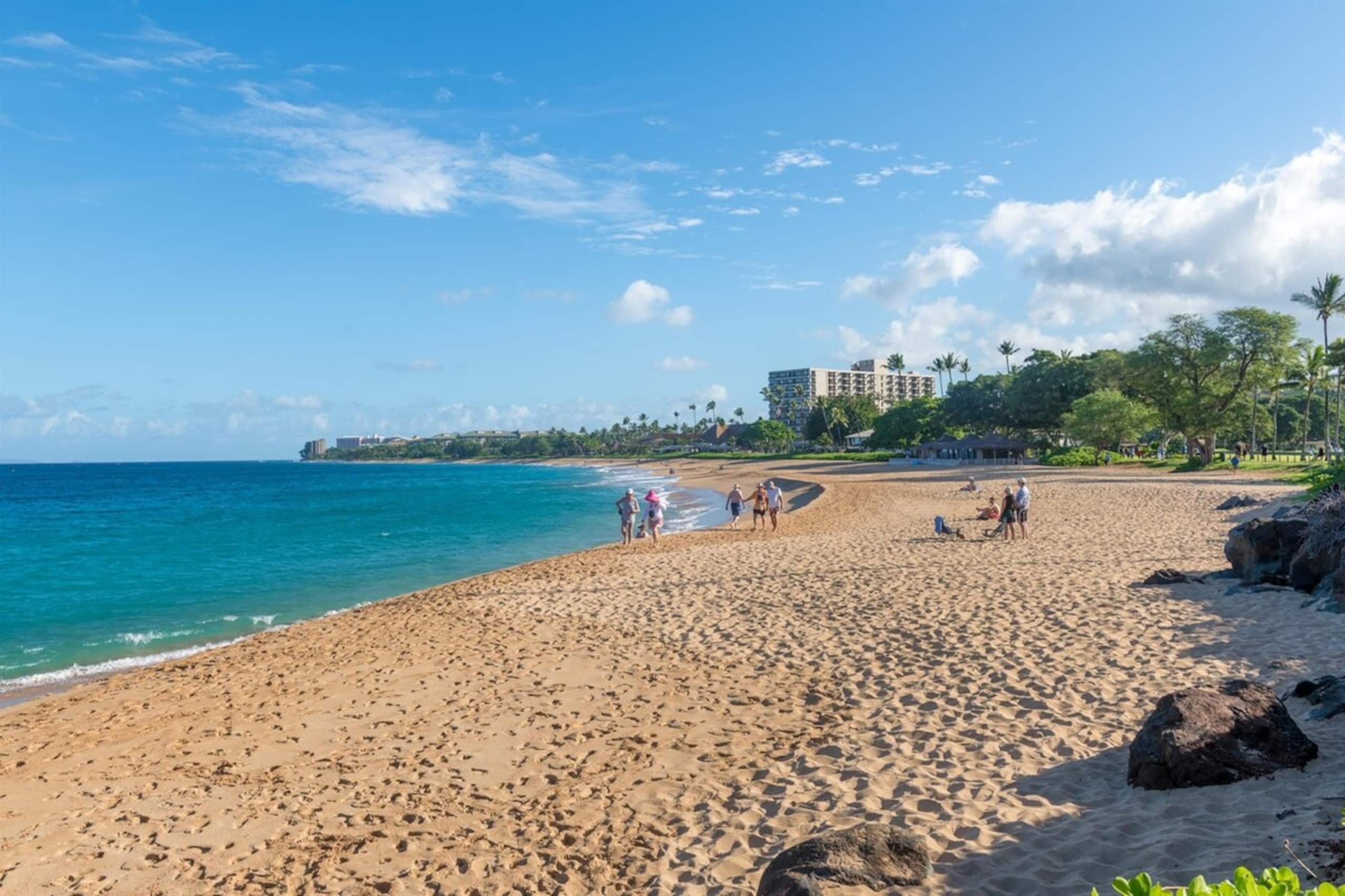 Walk to Kaanapali Beach Fully Remodeled 1BR, Pool - Photo 52