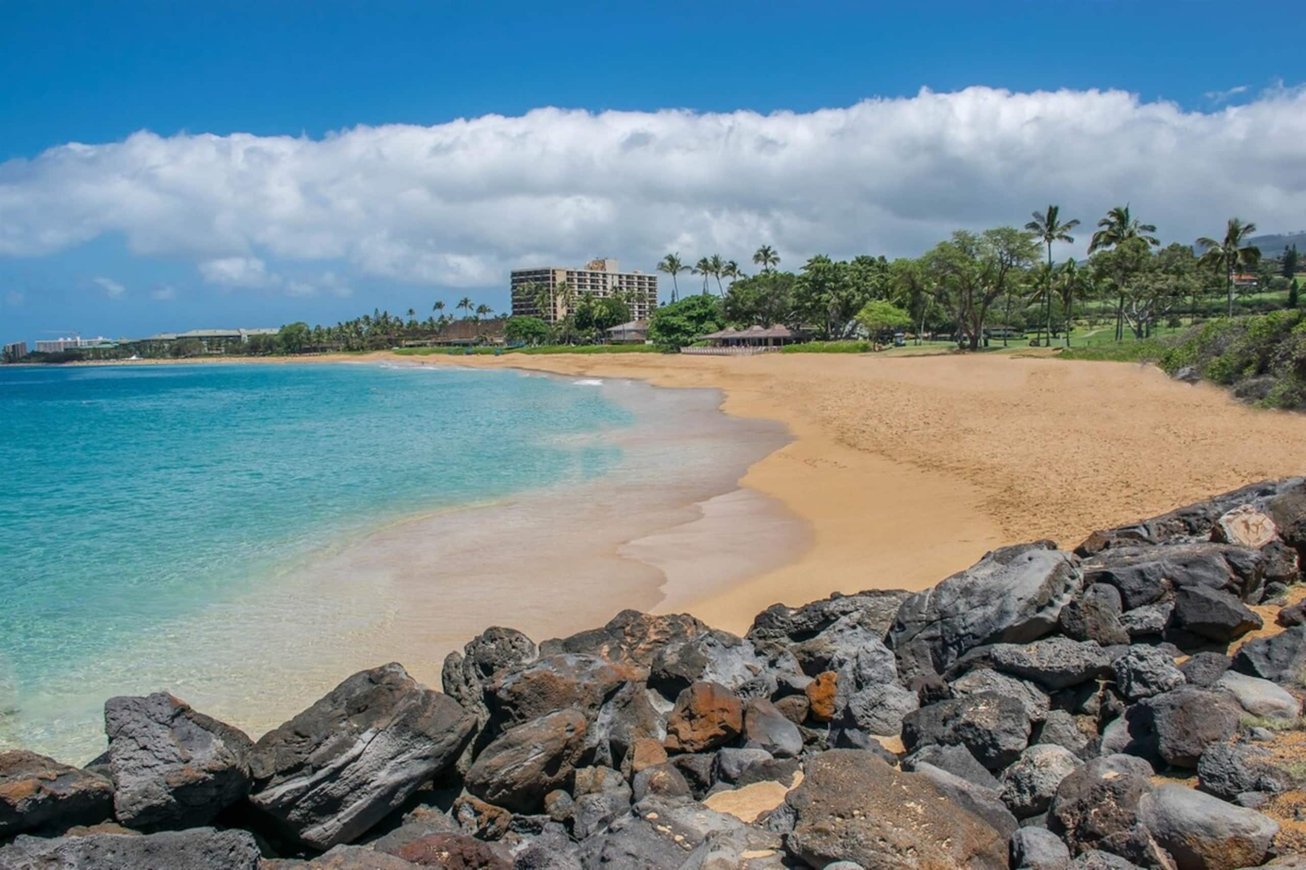 Walk to Kaanapali Beach Fully Remodeled 1BR, Pool - Photo 53