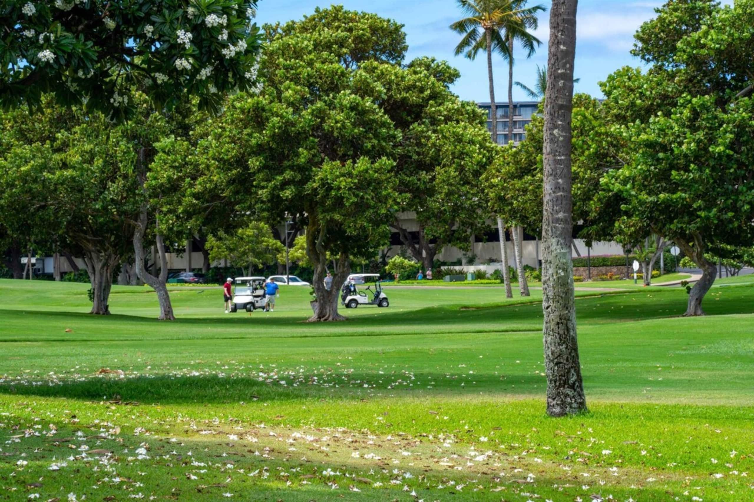 Walk to Kaanapali Beach Fully Remodeled 1BR, Pool - Photo 29