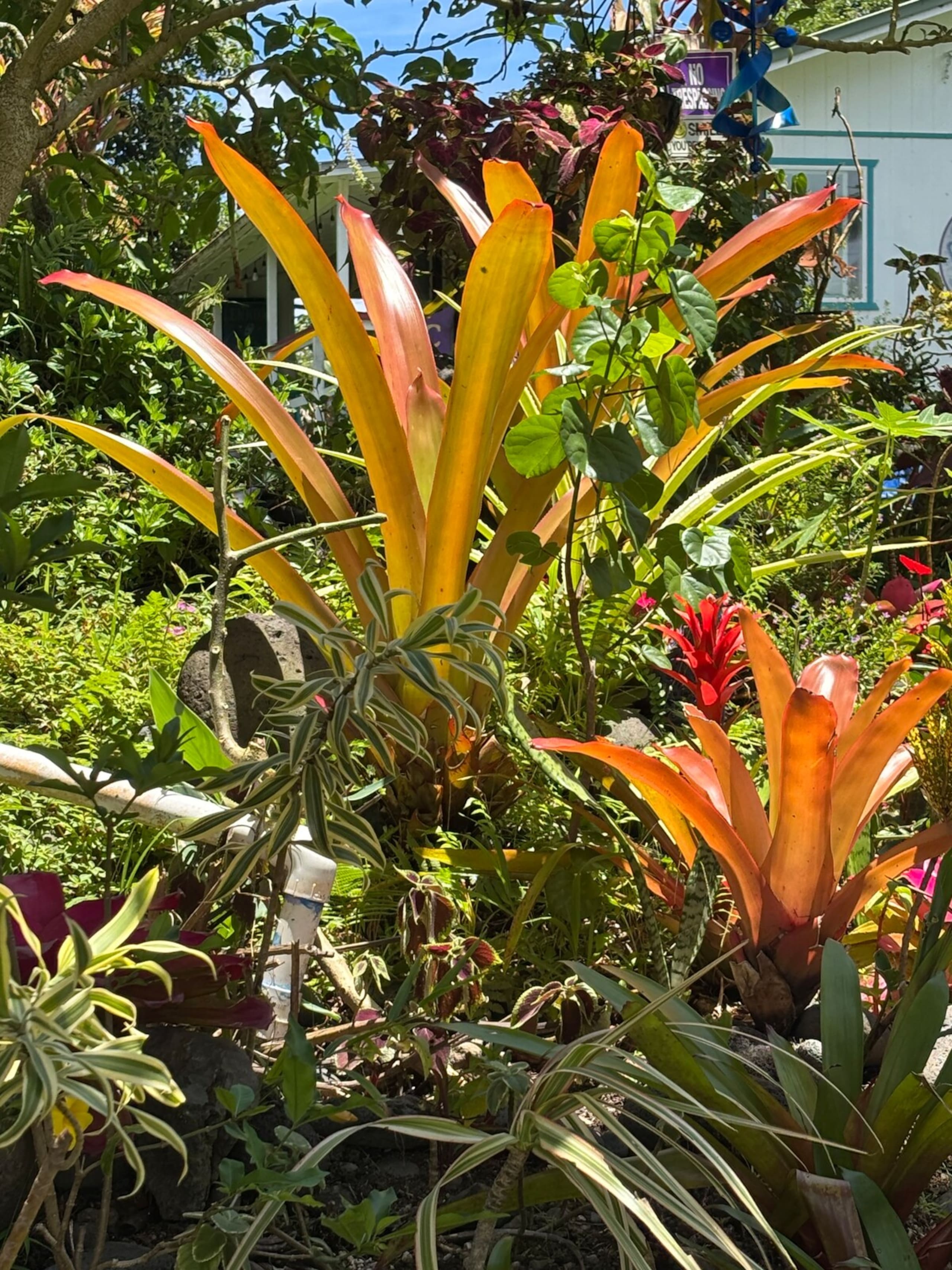 Tropical Newly Upgraded with CourtyardViews - Photo 18