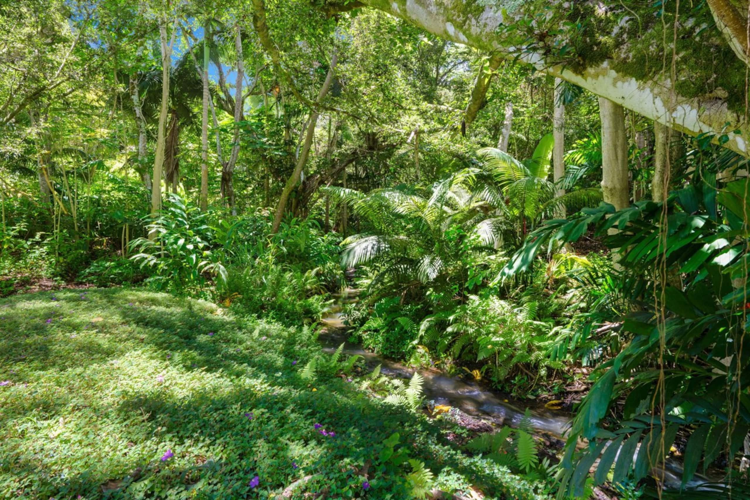 North Shore Hideaway - as seen on HGTV - Photo 56