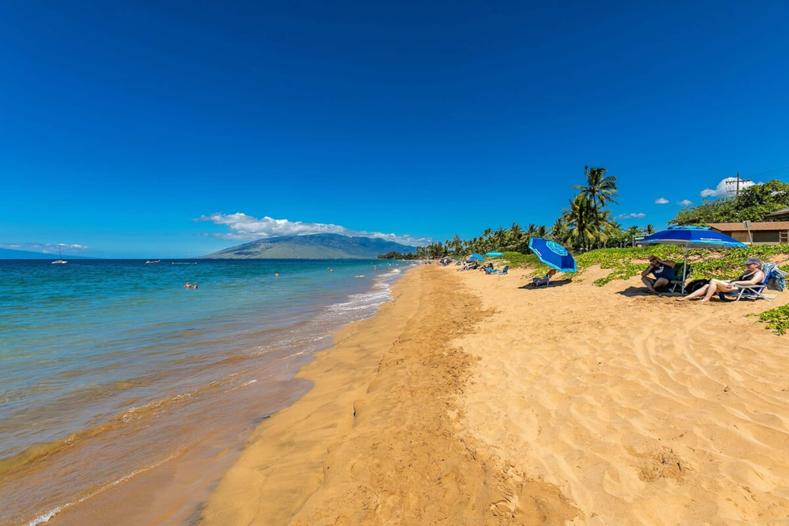 Beachfront 1BR Kihei condo w/ pool and lanai - Photo 49