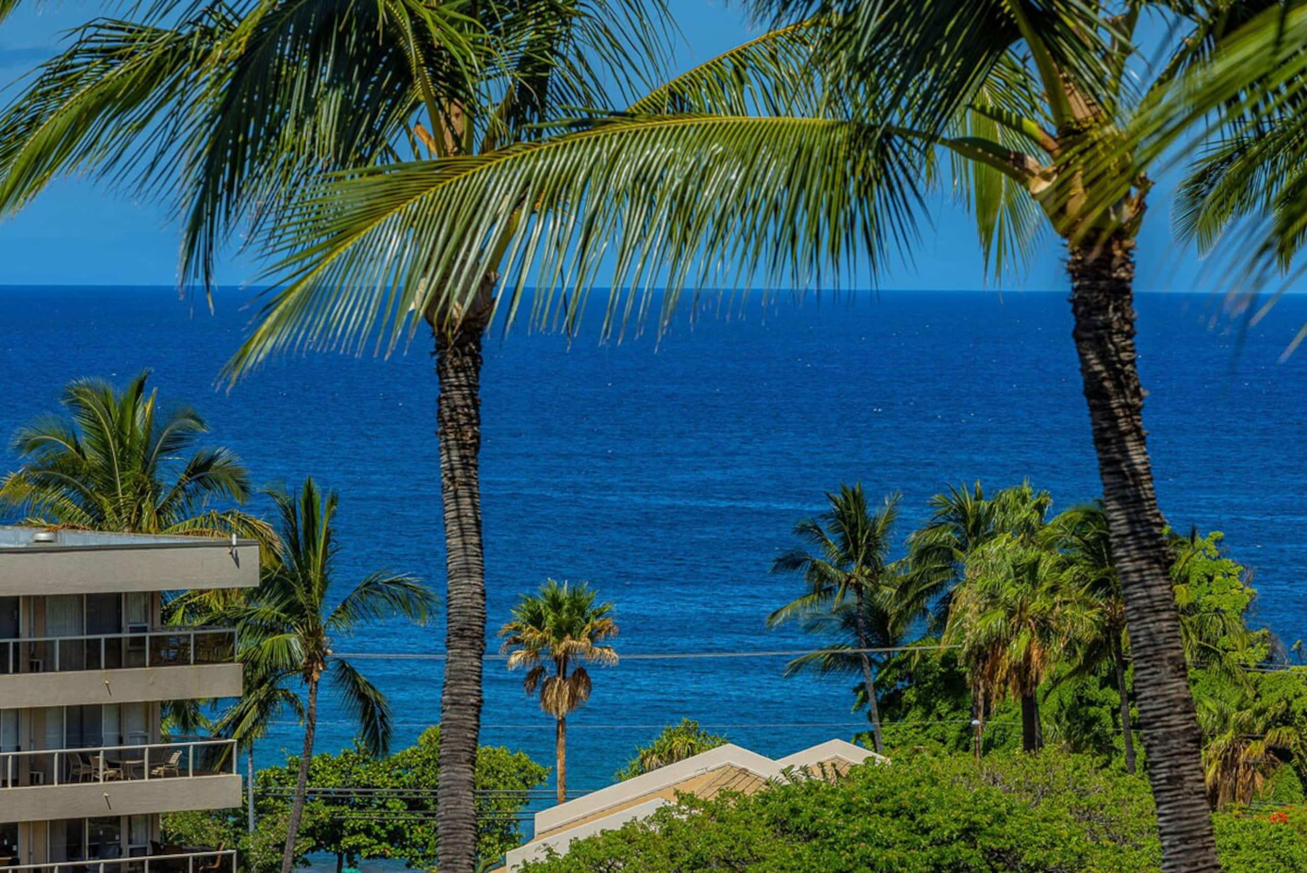 Beachfront 1BR Kihei condo w/ pool and lanai - Photo 3