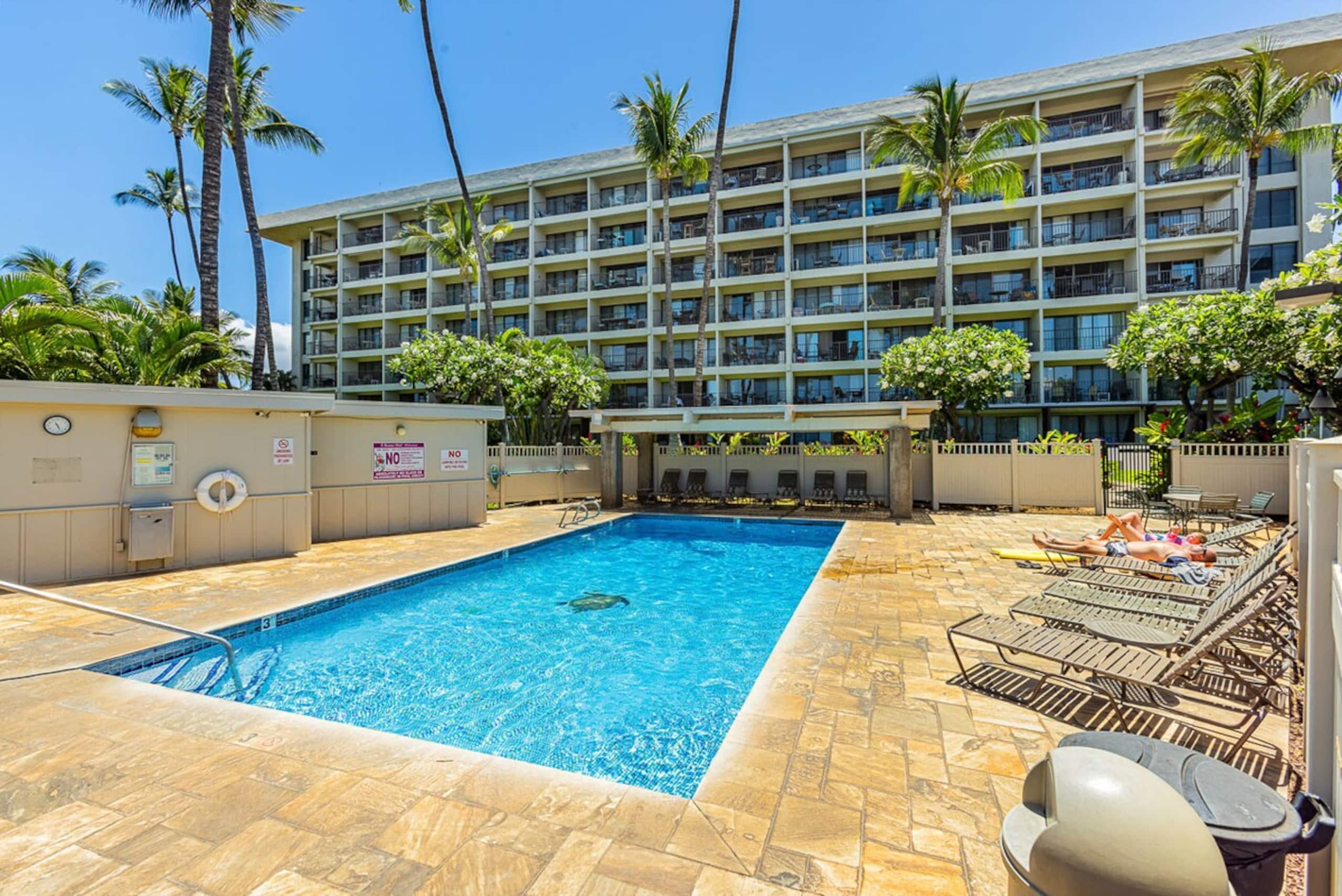 Beachfront 1BR Kihei condo w/ pool and lanai - Photo 28