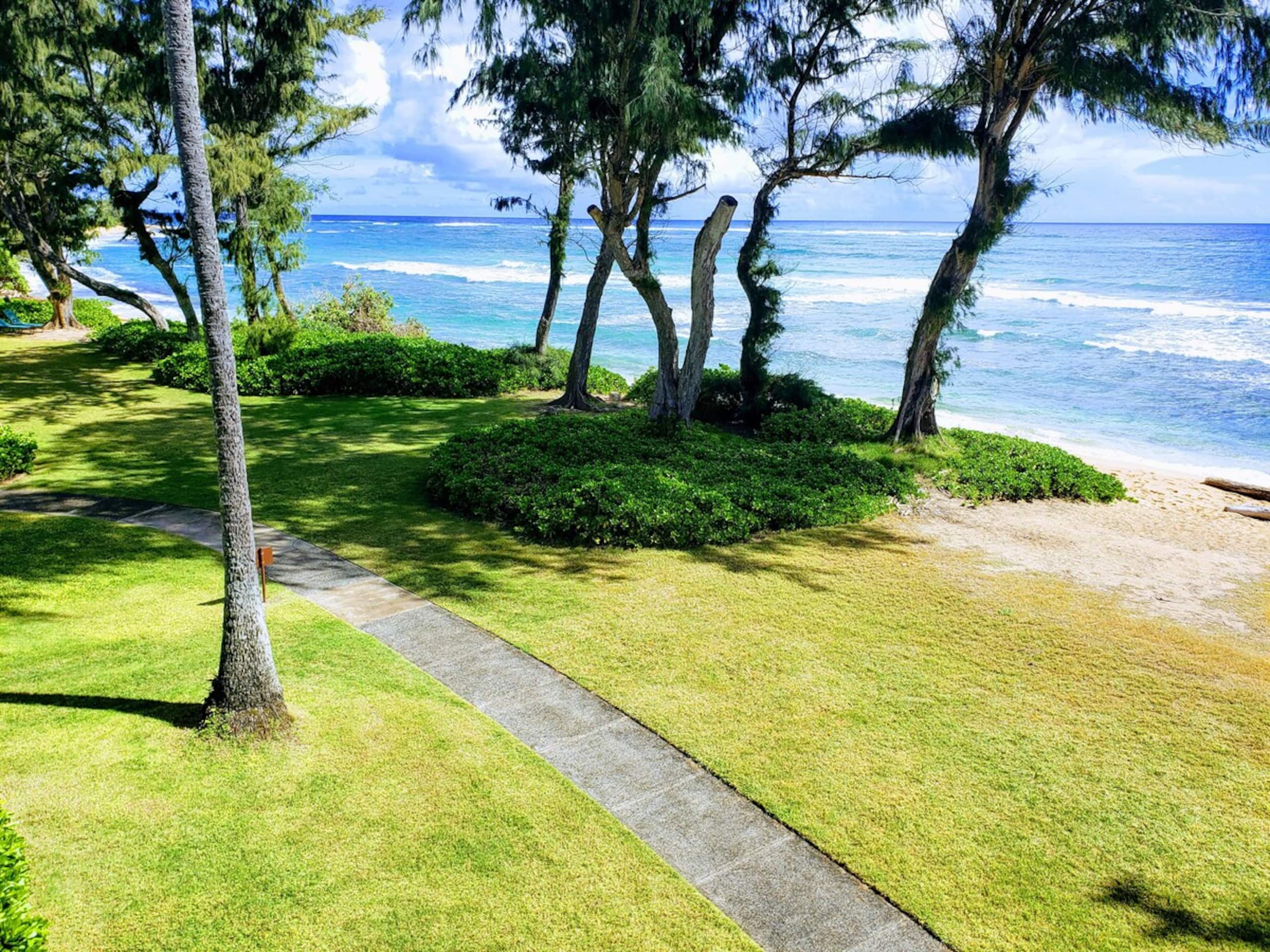 Kauai Direct Oceanfront Top Floor Condo 324 - Photo 19