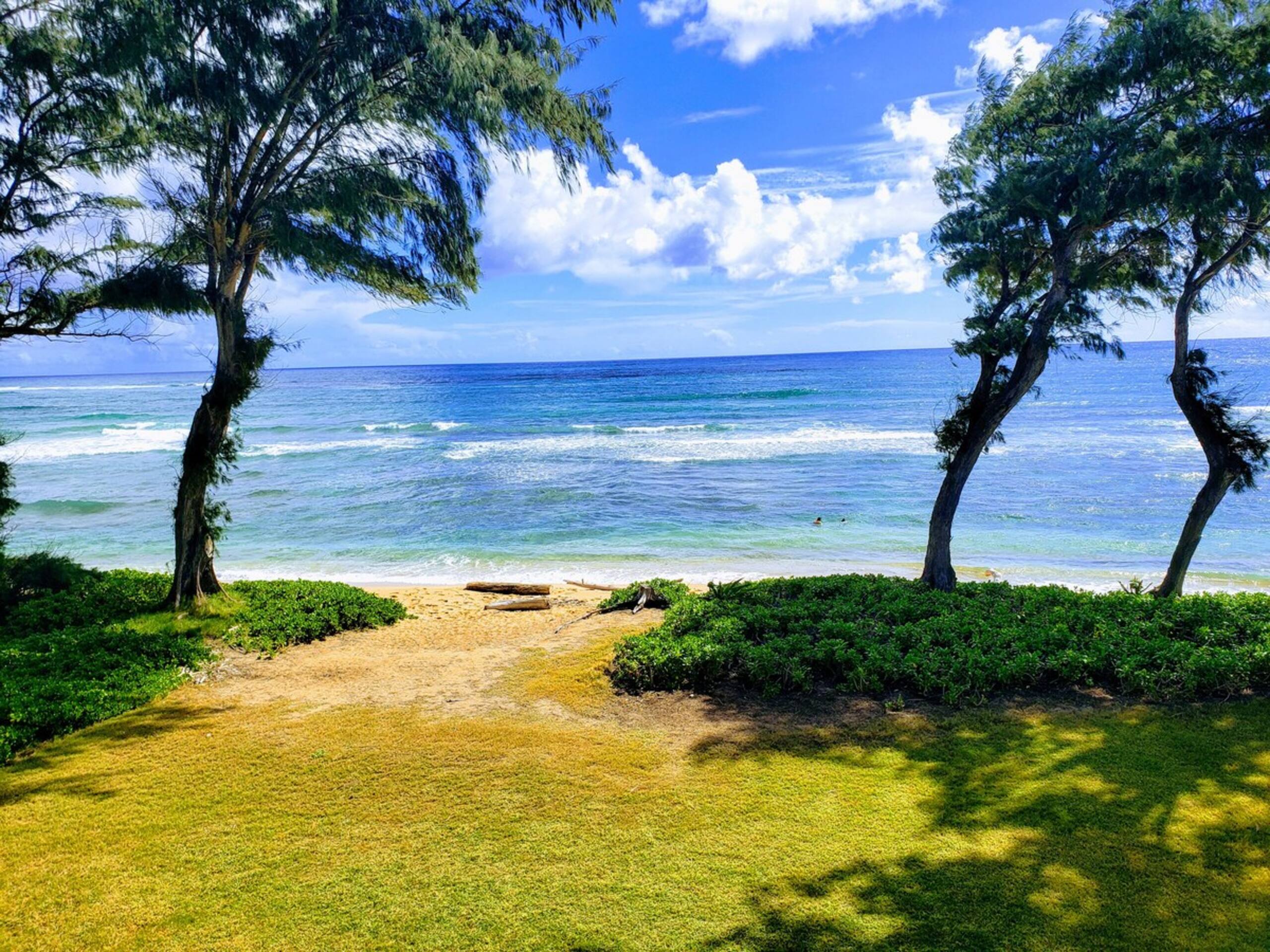 Kauai Direct Oceanfront Top Floor Condo 324 - Photo 16
