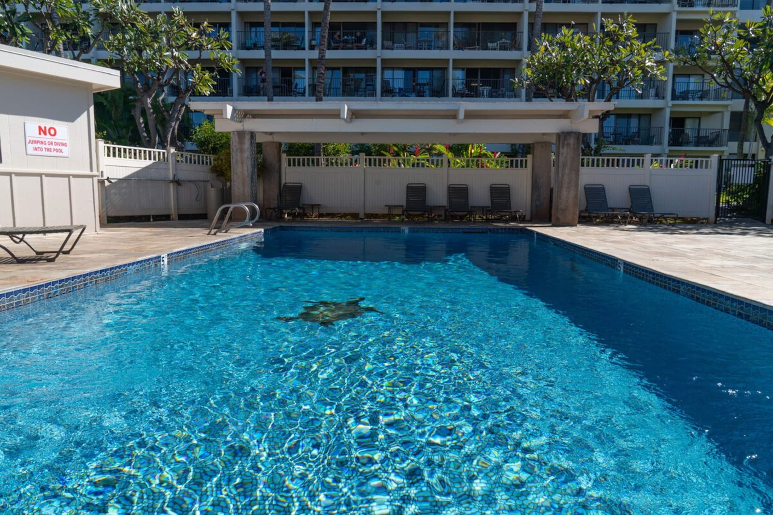 Surf, Sand & Serenity- Kihei Akahi D213 Ocean View - Photo 19