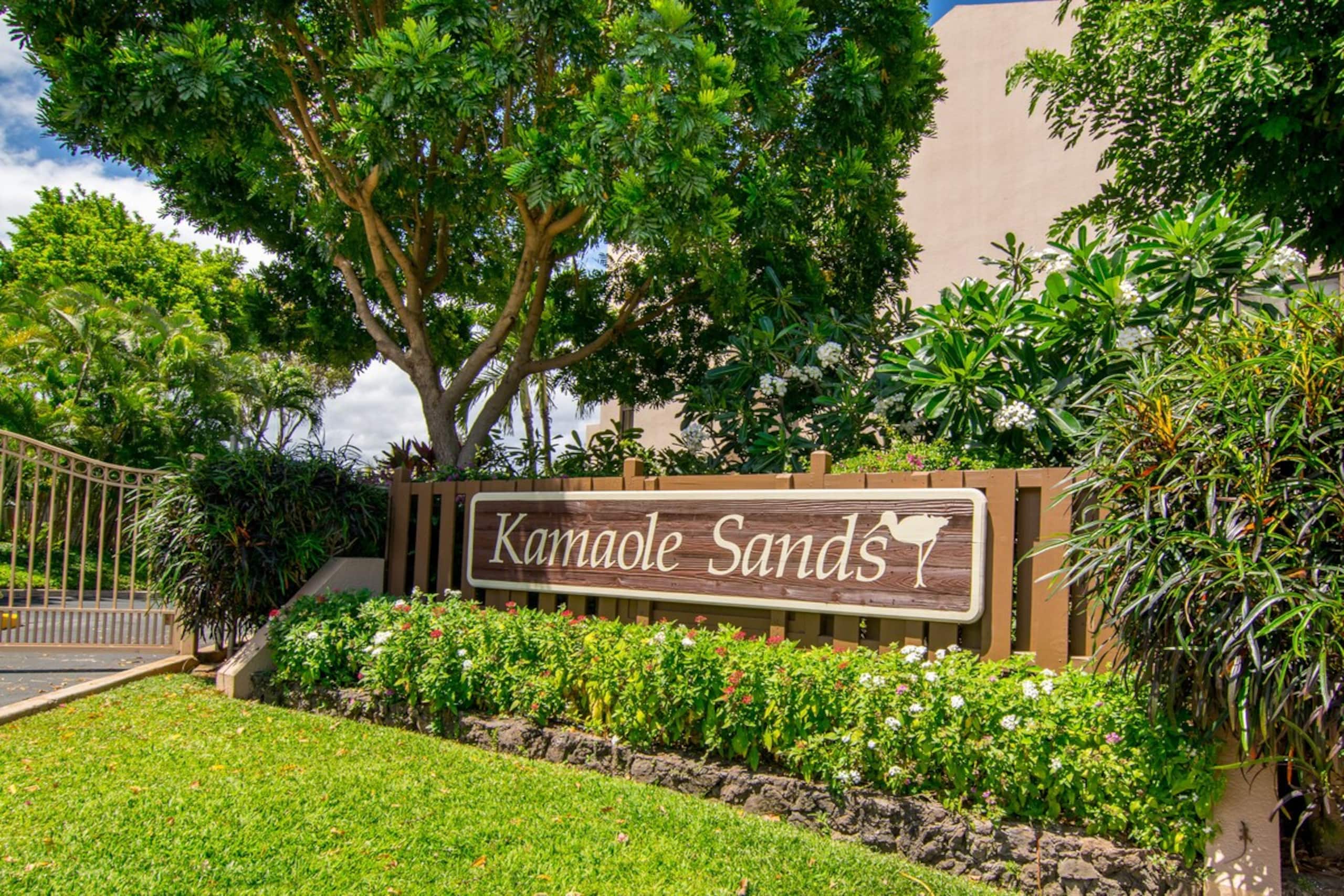 Tropical Paradise/Just Steps to Sand & Beach(A.C.) - Photo 32
