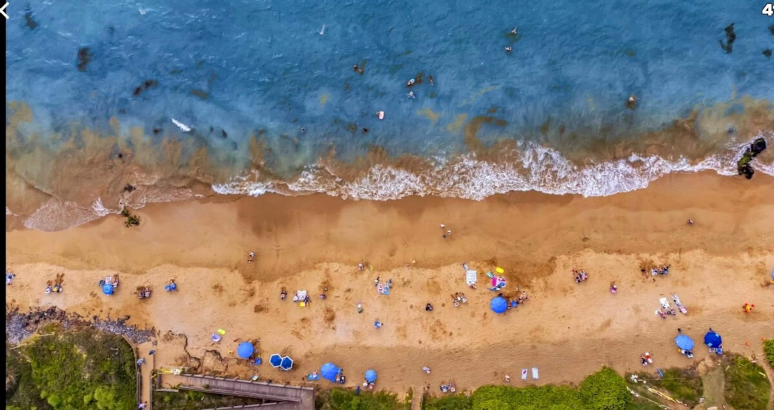 Tropical Paradise/Just Steps to Sand & Beach(A.C.) - Photo 36