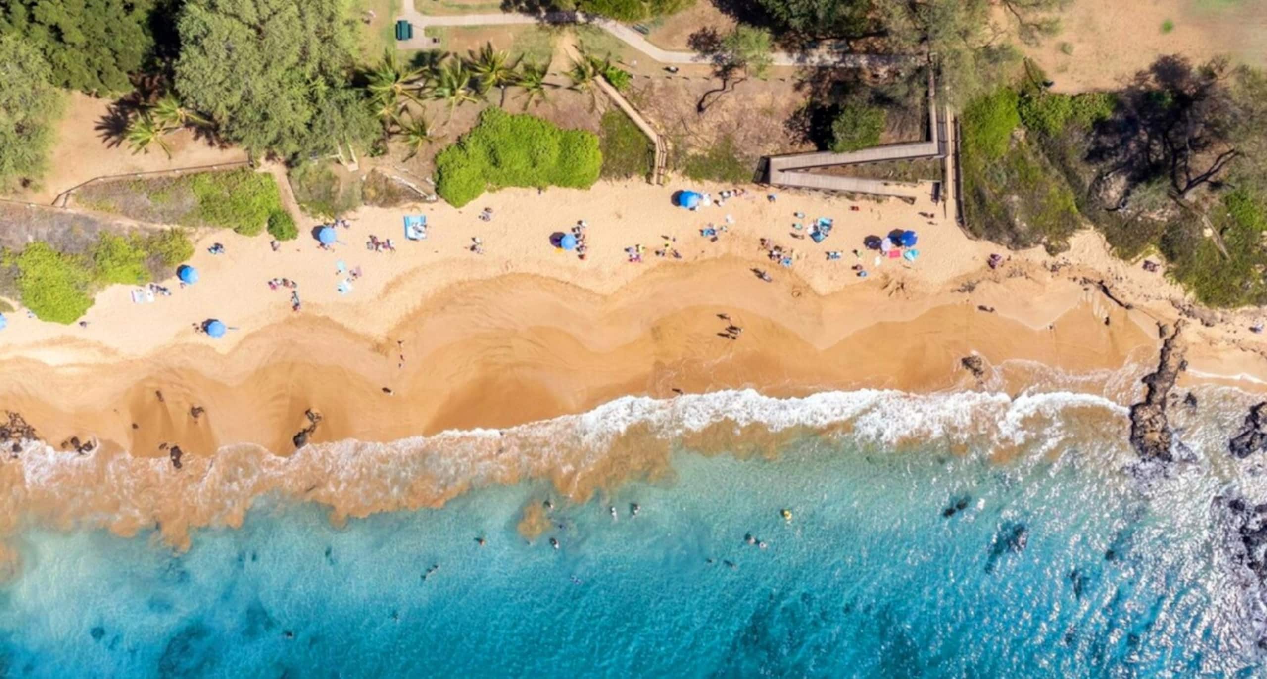 Tropical Paradise/Just Steps to Sand & Beach(A.C.) - Photo 19