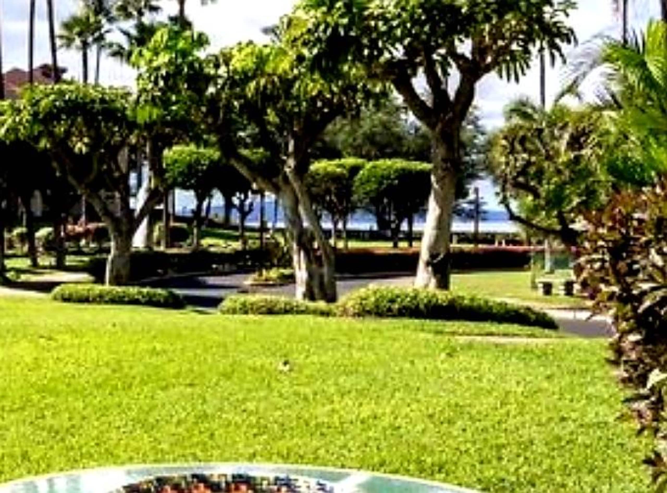 Tropical Paradise/Just Steps to Sand & Beach(A.C.) - Photo 3