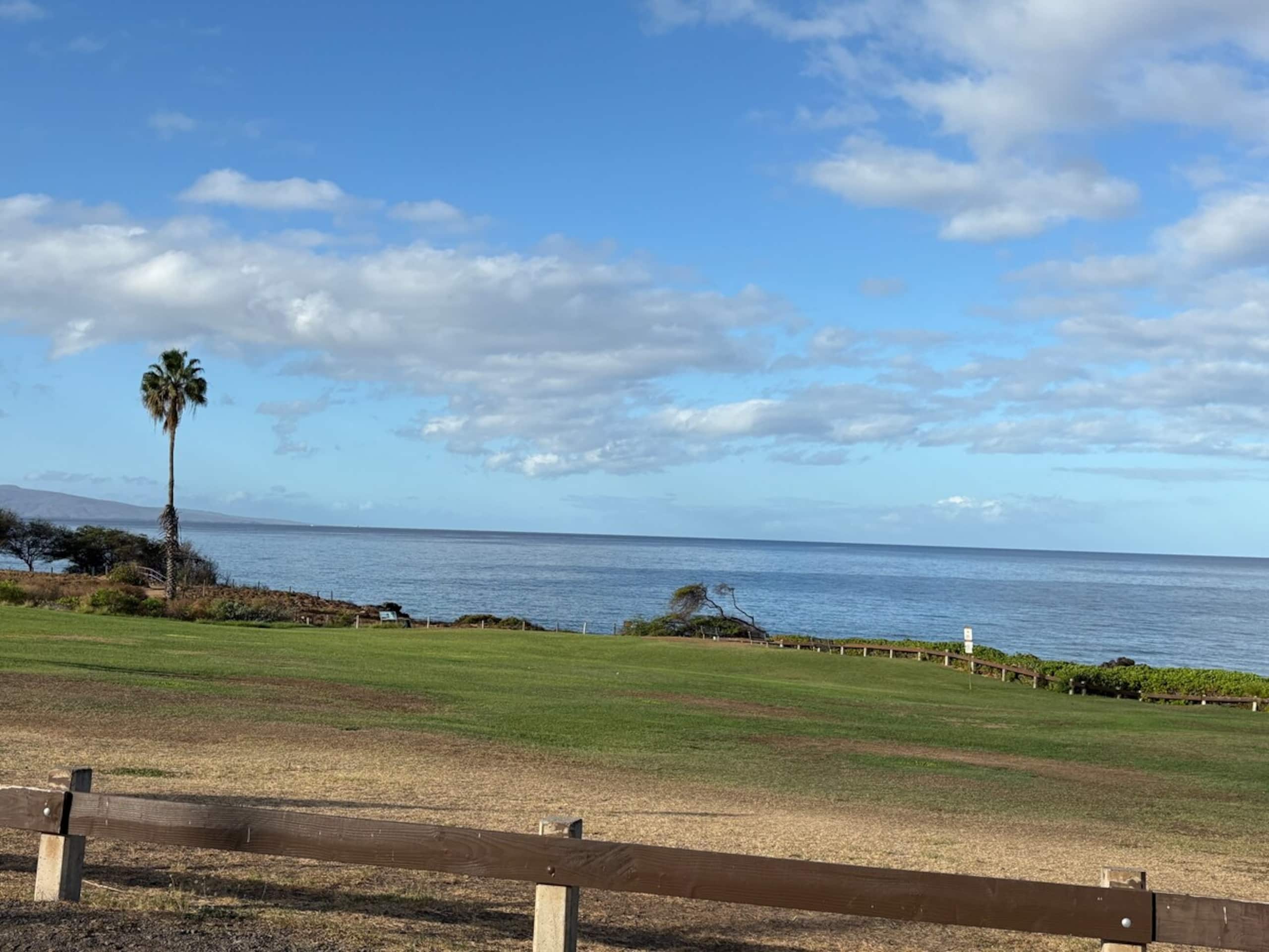 One Bedroom Condo Across Kamaole Beach Park III - Photo 41