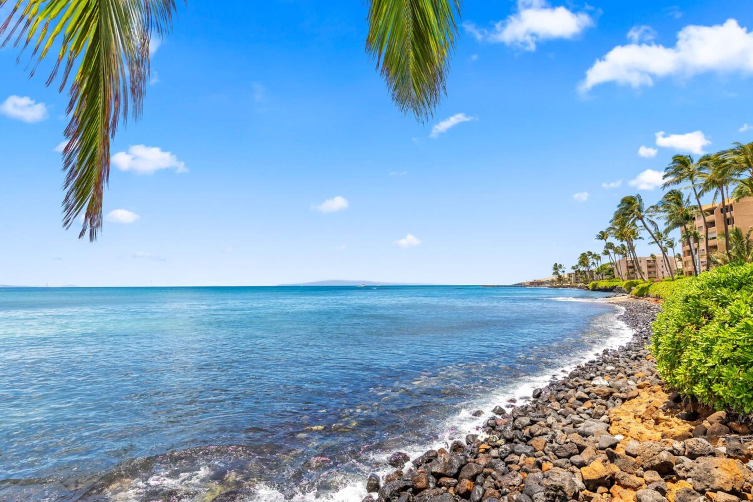 Maʻalaea Banyans Oceanfront! - Photo 50