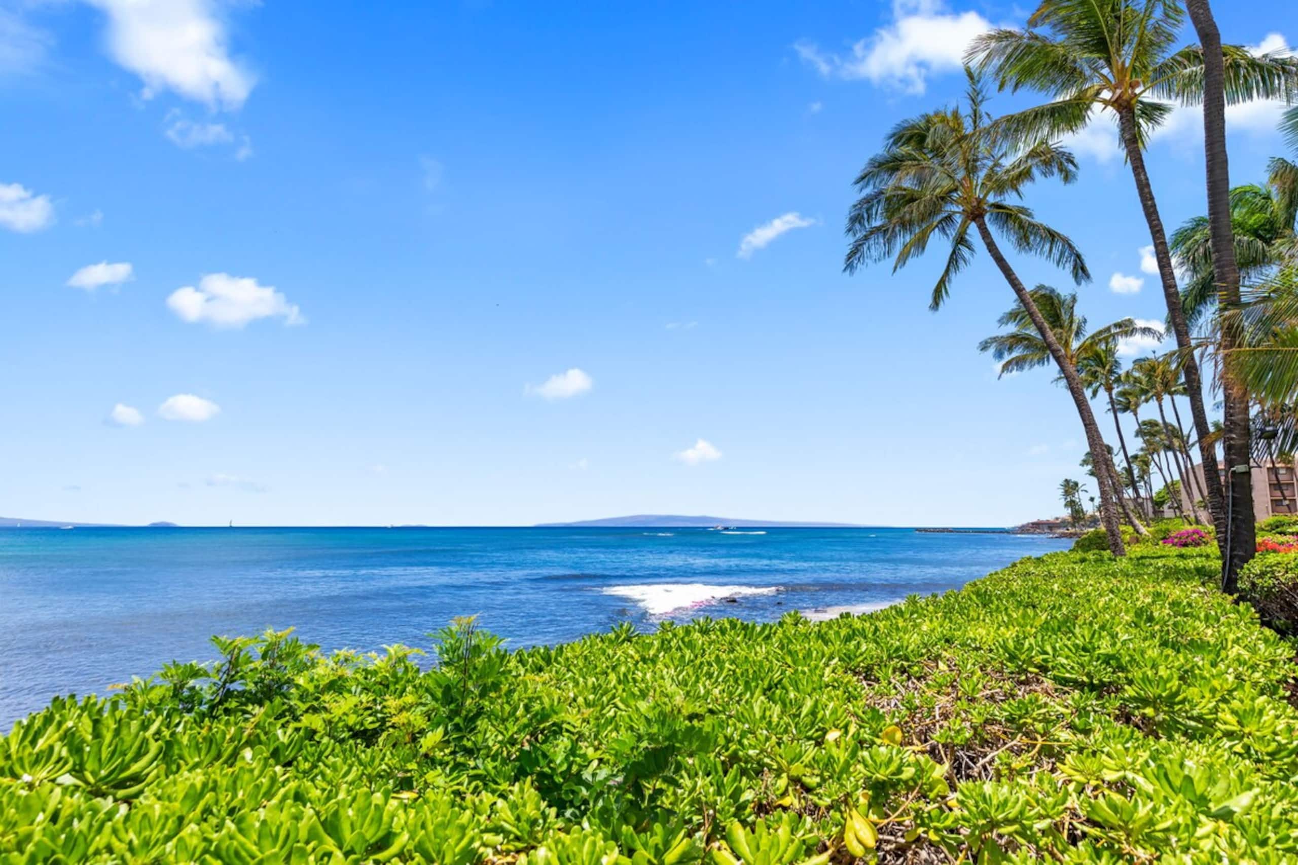 Maʻalaea Banyans Oceanfront! - Photo 51
