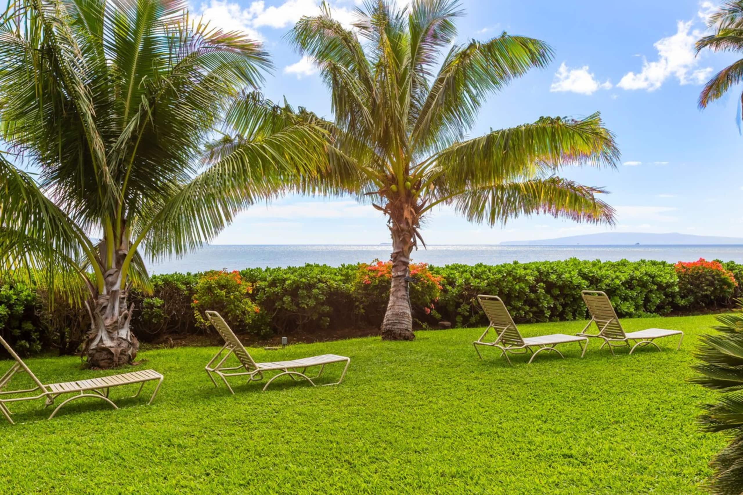 Maʻalaea Banyans Oceanfront! - Photo 49