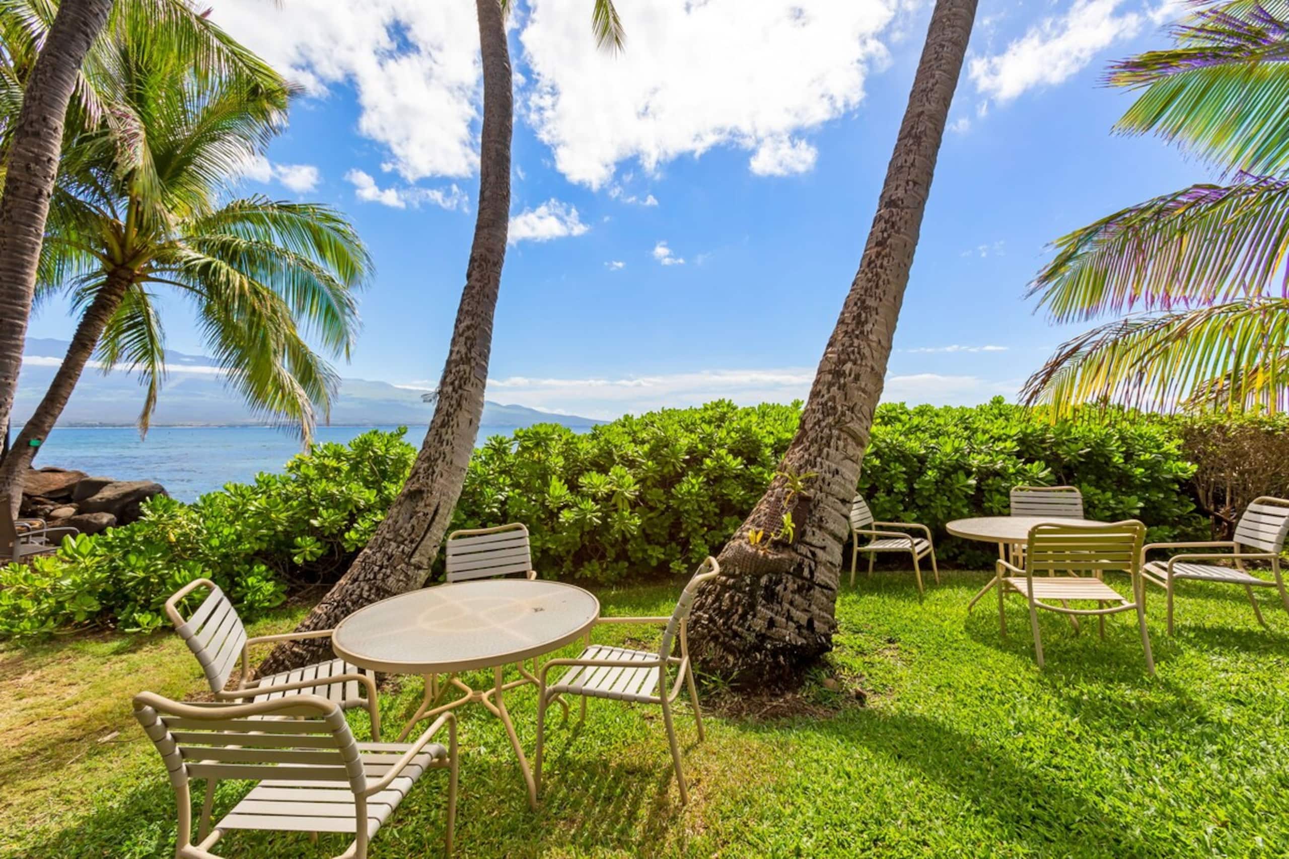 Maʻalaea Banyans Oceanfront! - Photo 39