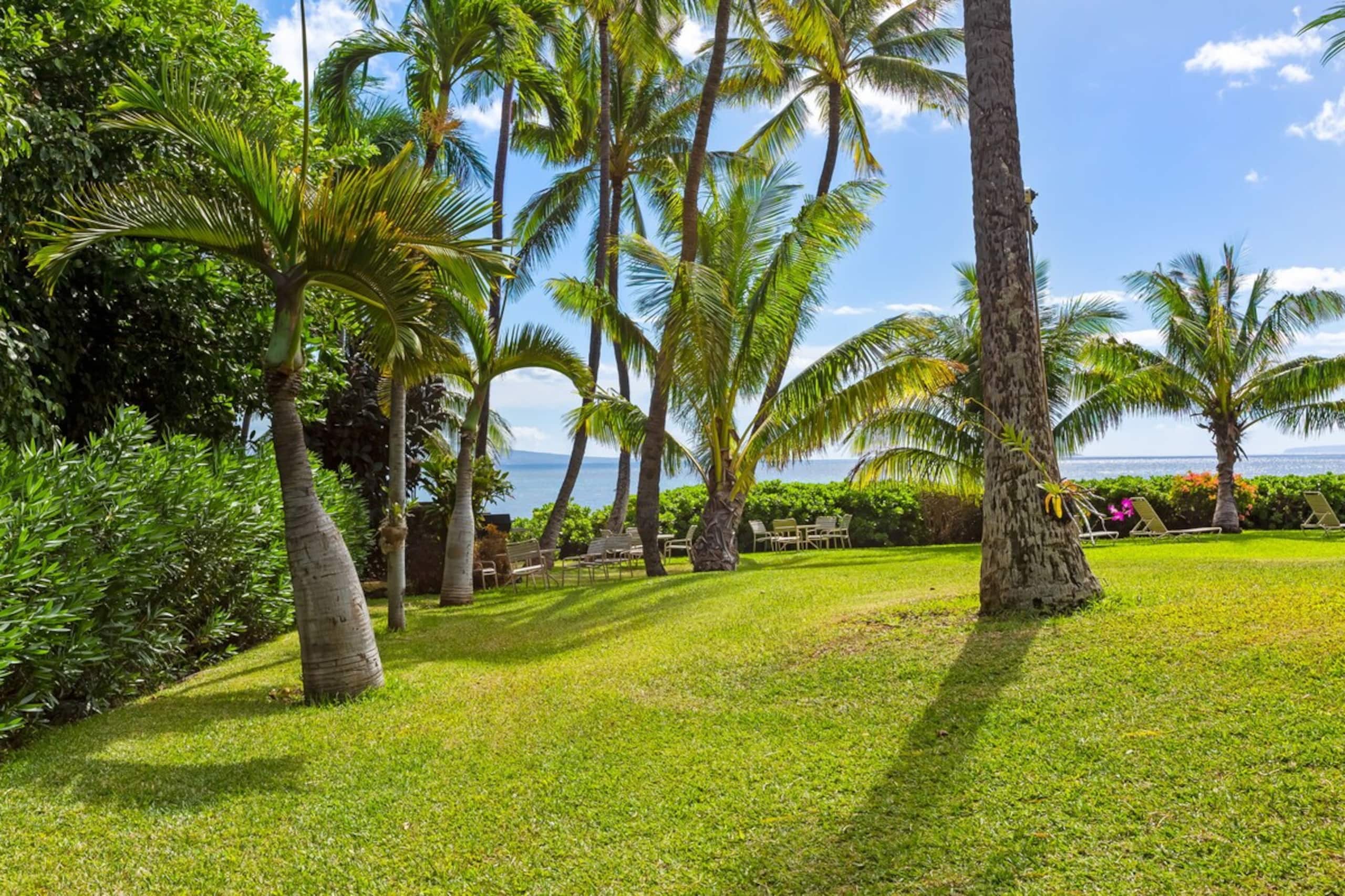 Maʻalaea Banyans Oceanfront! - Photo 48