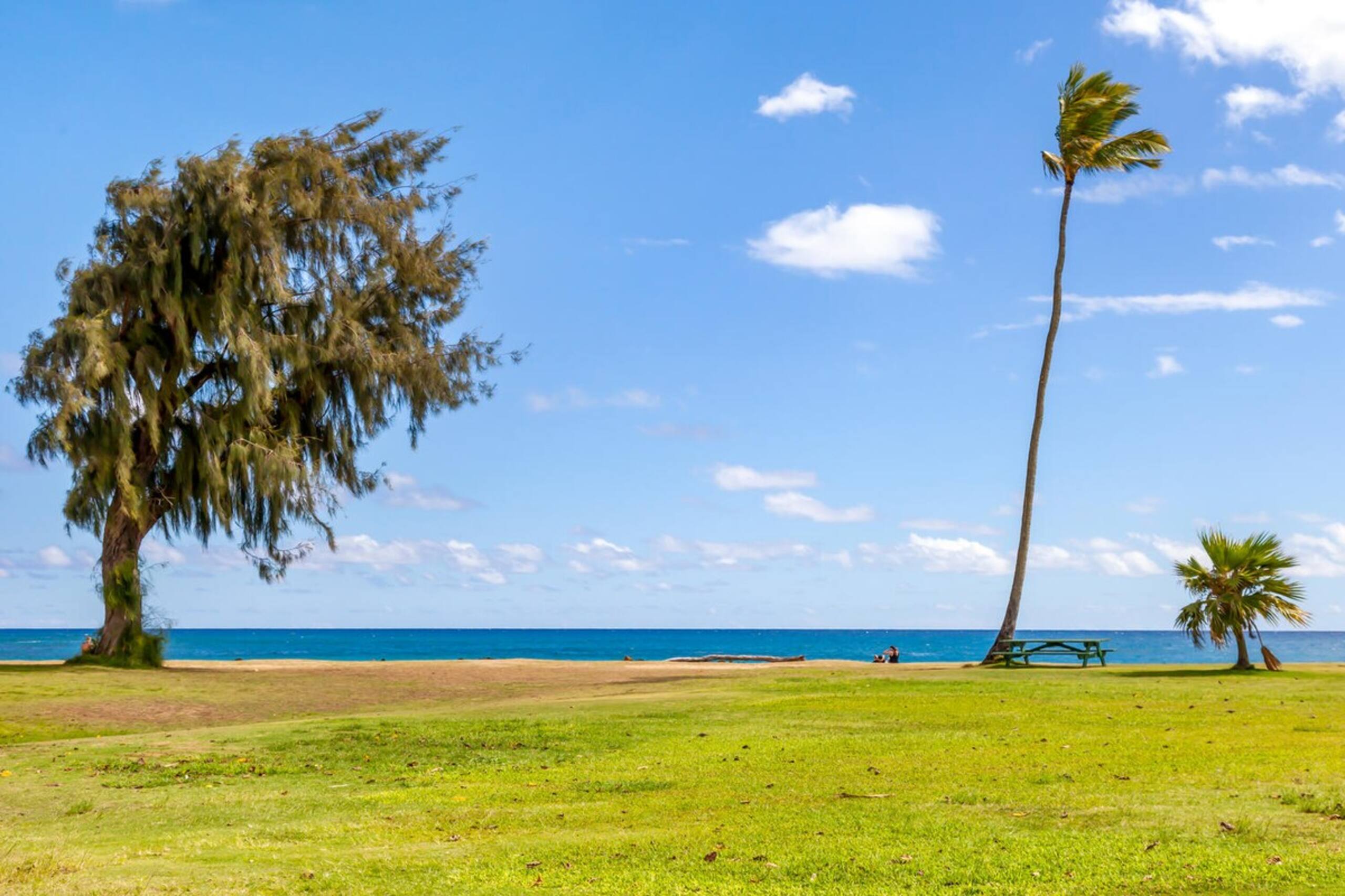 koolkondo Springwater 3 bedroom Ocean Front Home - Photo 21