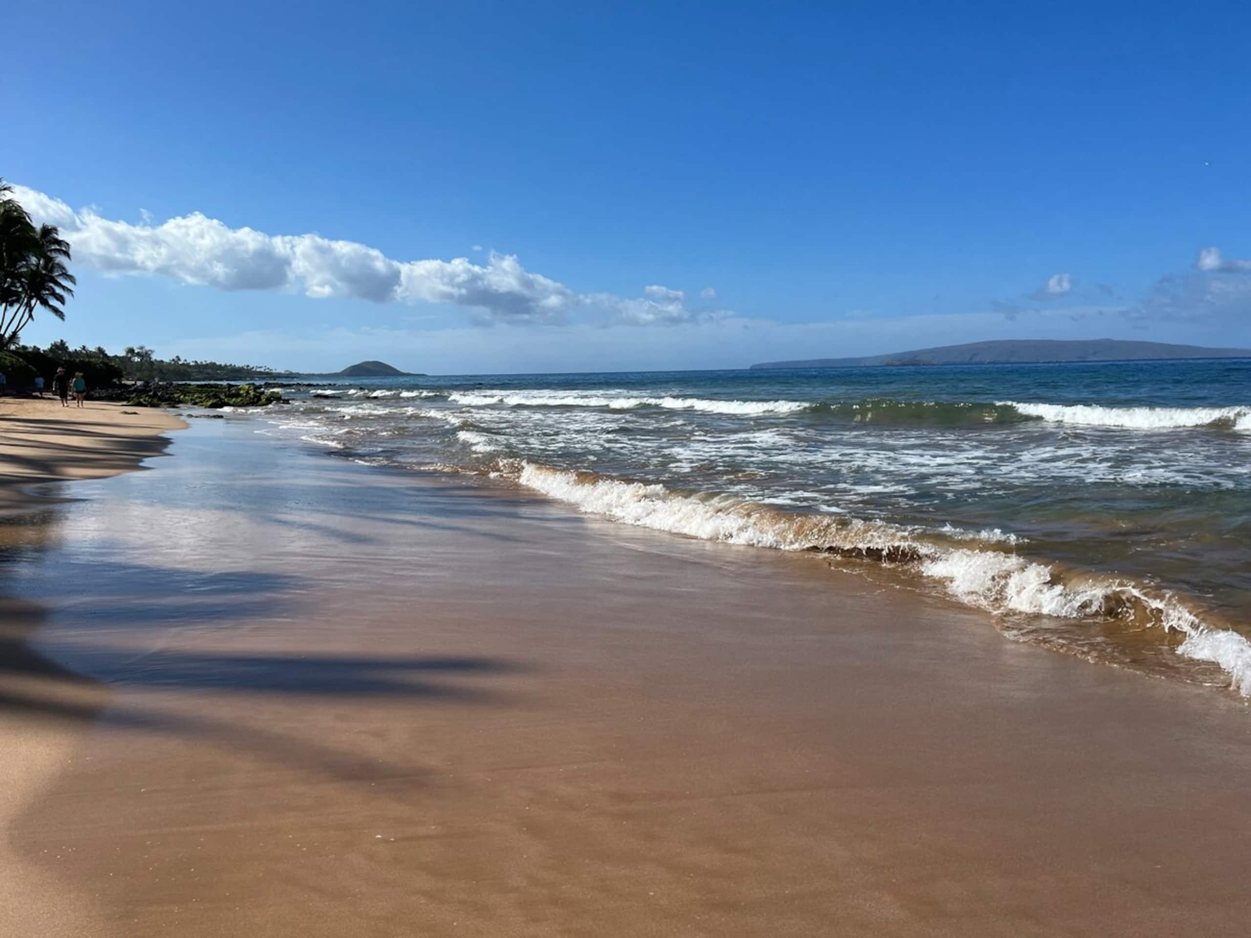 Ocean Views - a 5 minute walk to Keawakapu Beach - Photo 20
