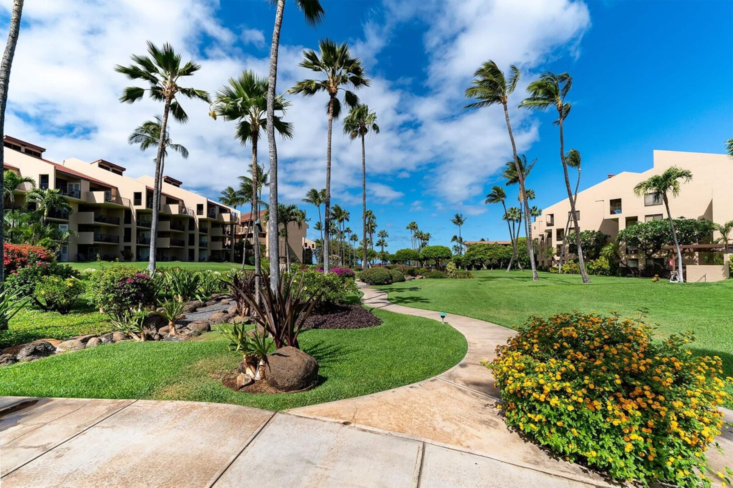 Kamaole Sands 2-204 - Ocean View Condo, AC, Wi-Fi - Photo 25