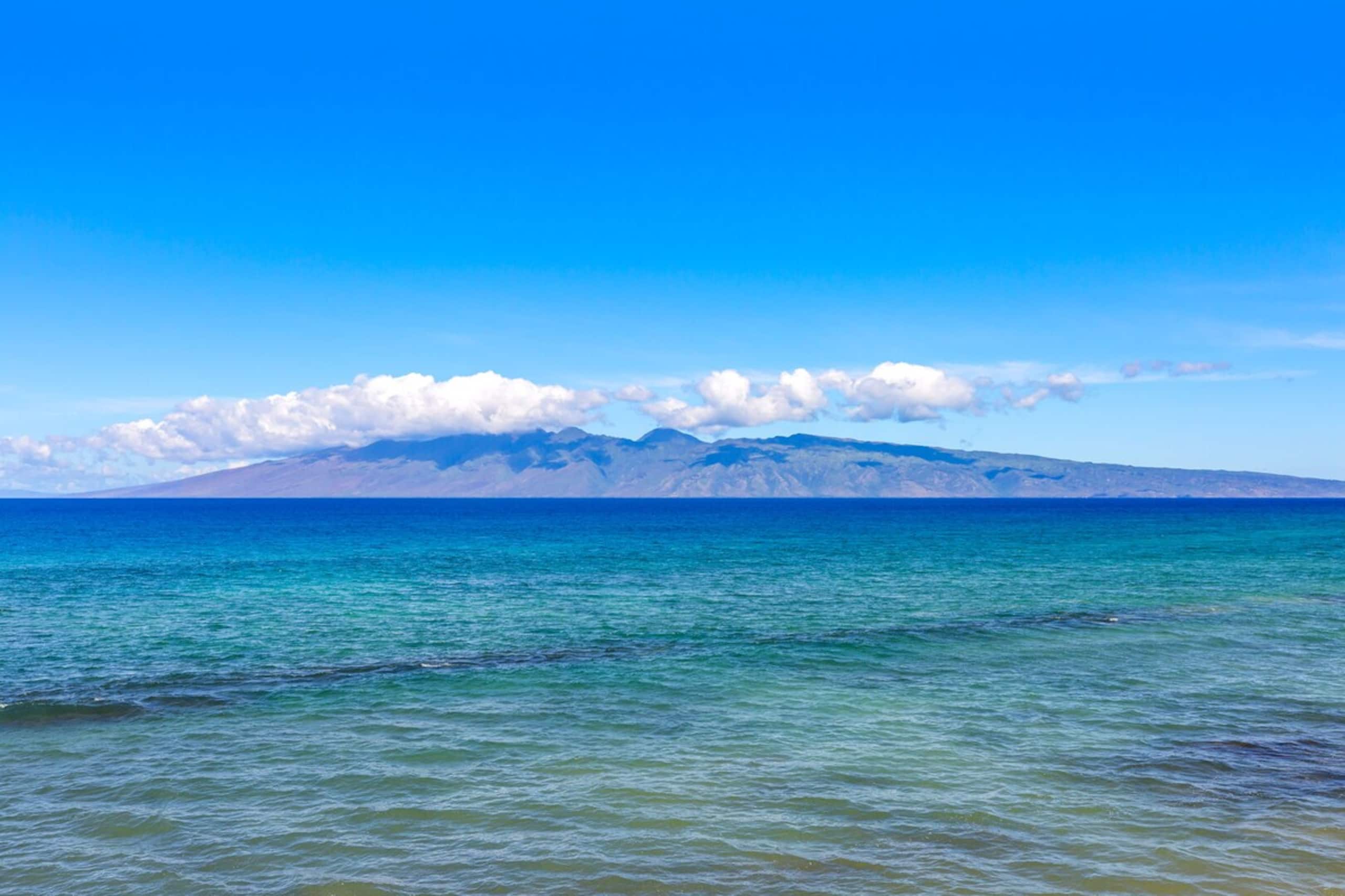 Expansive ocean view condo with large windows - Photo 31