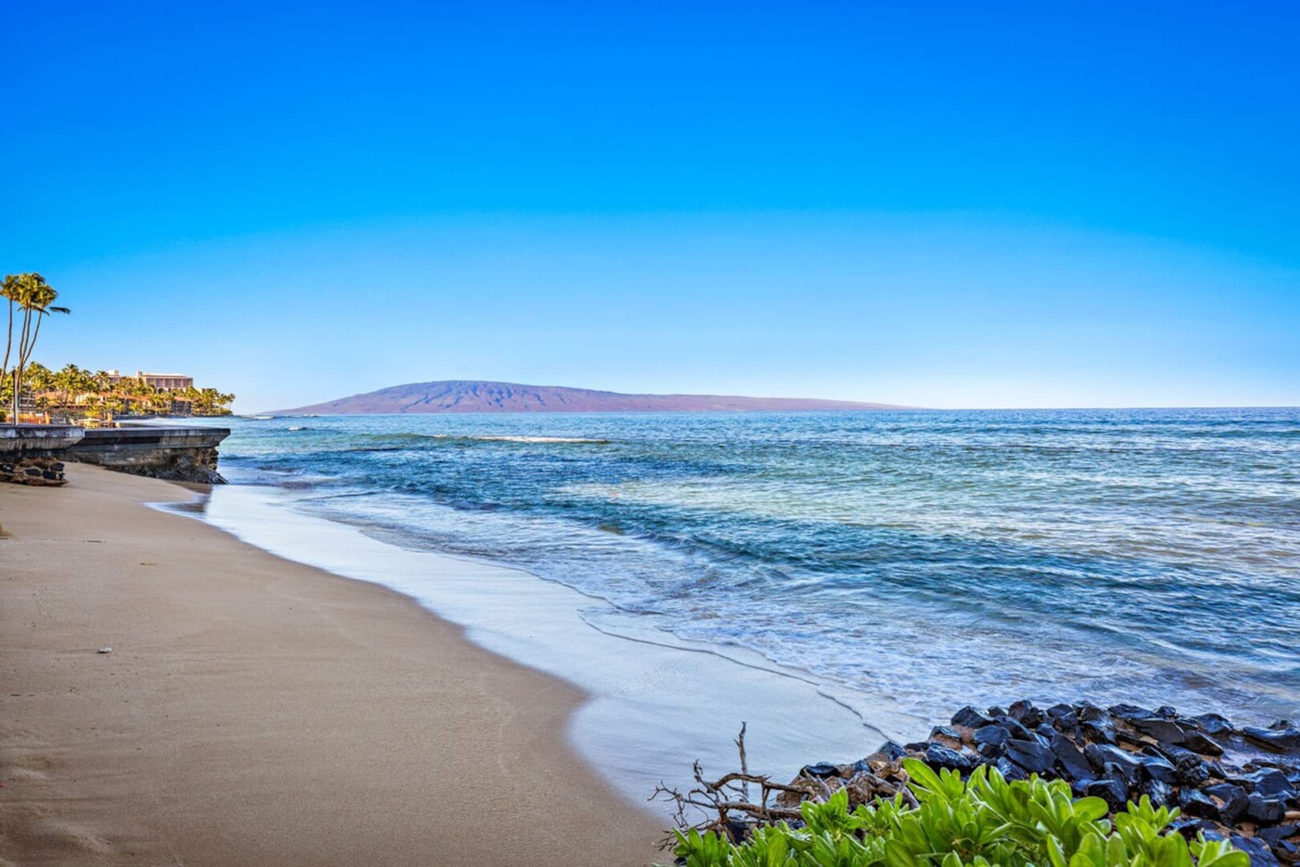 Expansive ocean view condo with large windows - Photo 30