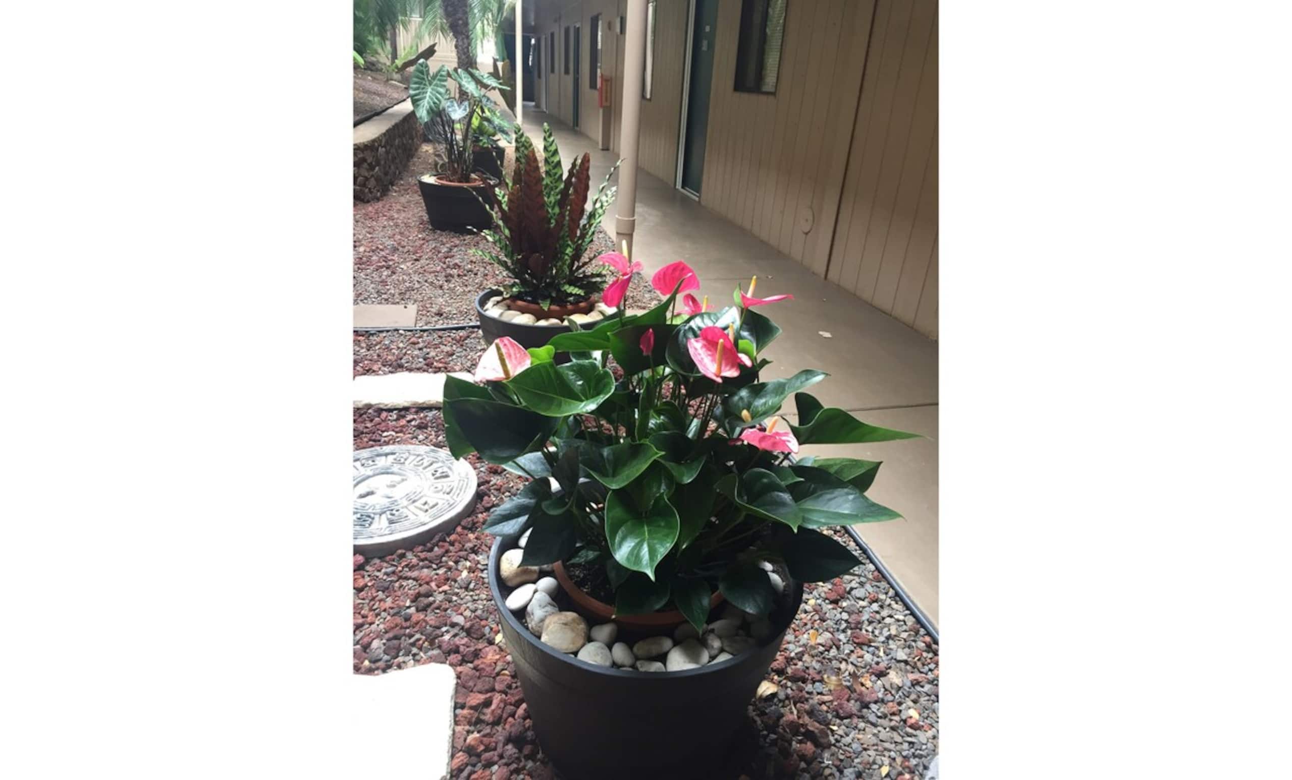 Full a/c in the Heart of South Kihei PSA303 - Photo 36