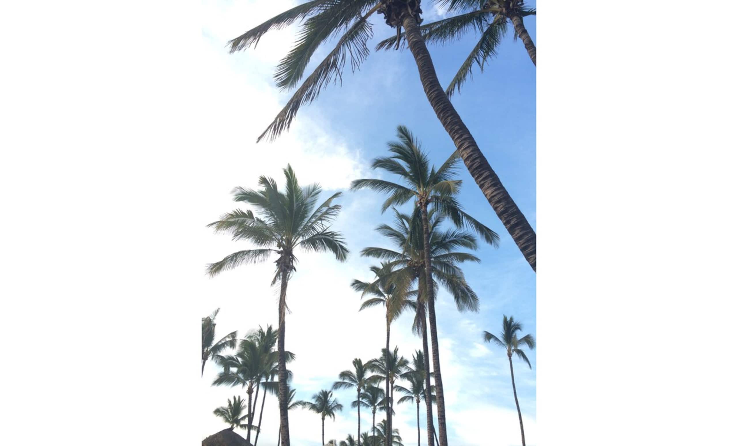 Full a/c in the Heart of South Kihei PSA303 - Photo 37