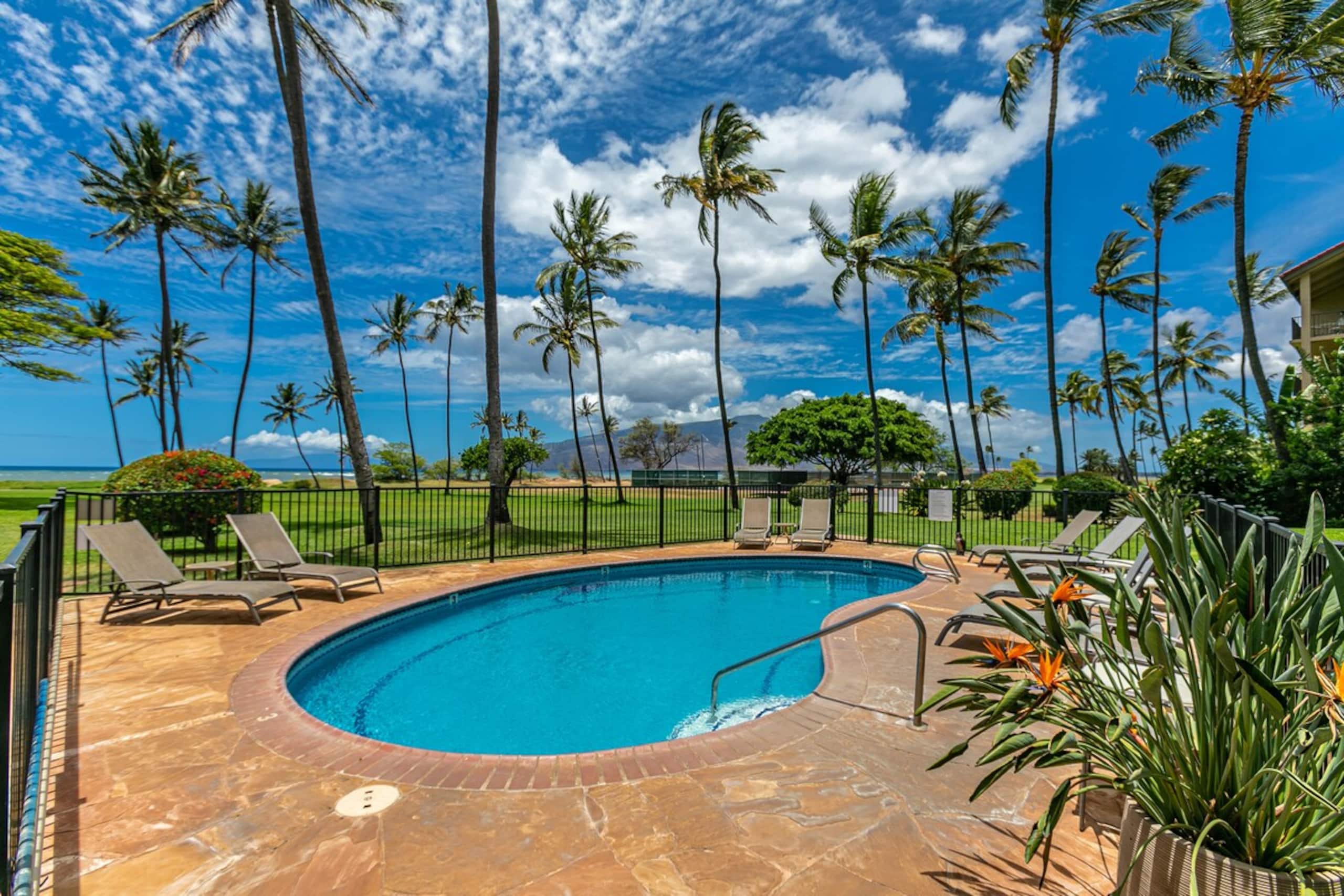 Oceanfront Spectacular Views LEI301 - Photo 22